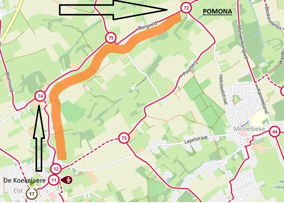 Wandeling Elst 2026.jpg