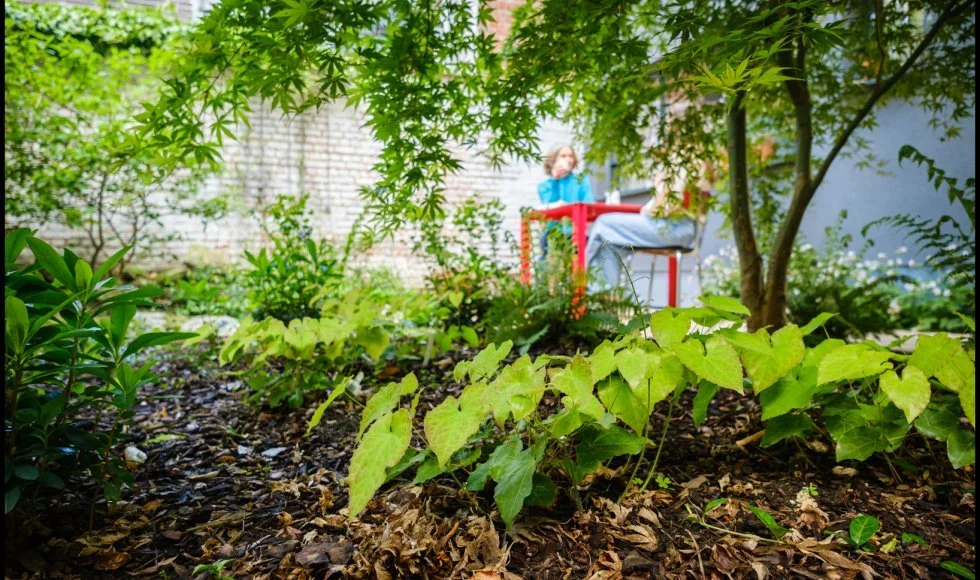 Ecotuindag (i.s.m. Velt)