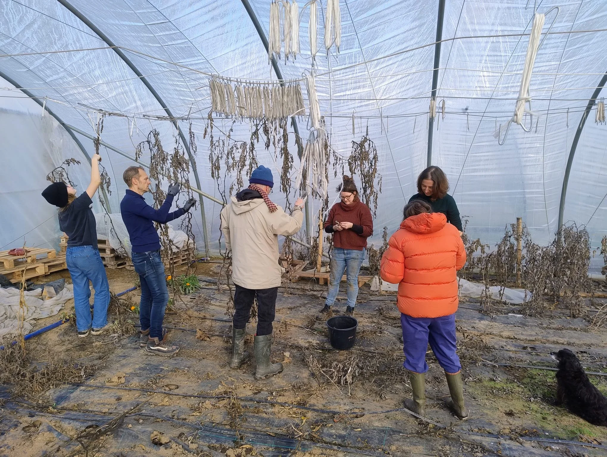 Swales zijn ondiepe greppels in combinatie met een berm die zorgen voor een natuurlijke waterhuishouding