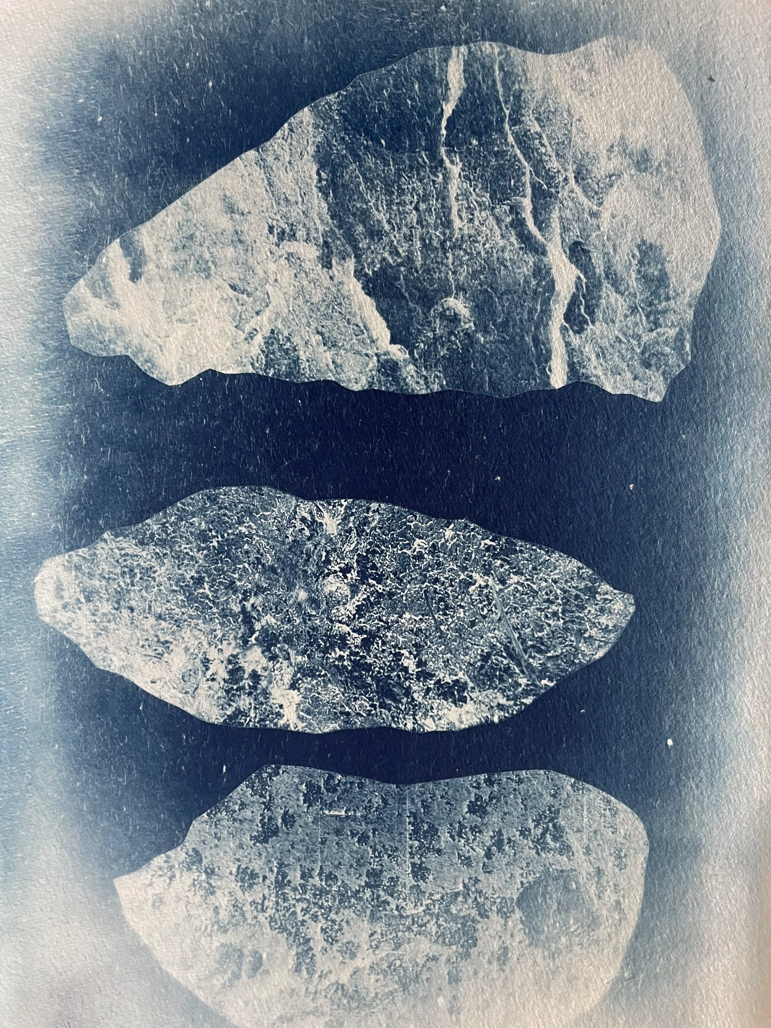 untitled / cyanotype on handmade paper 21cmx30cm / 2025
