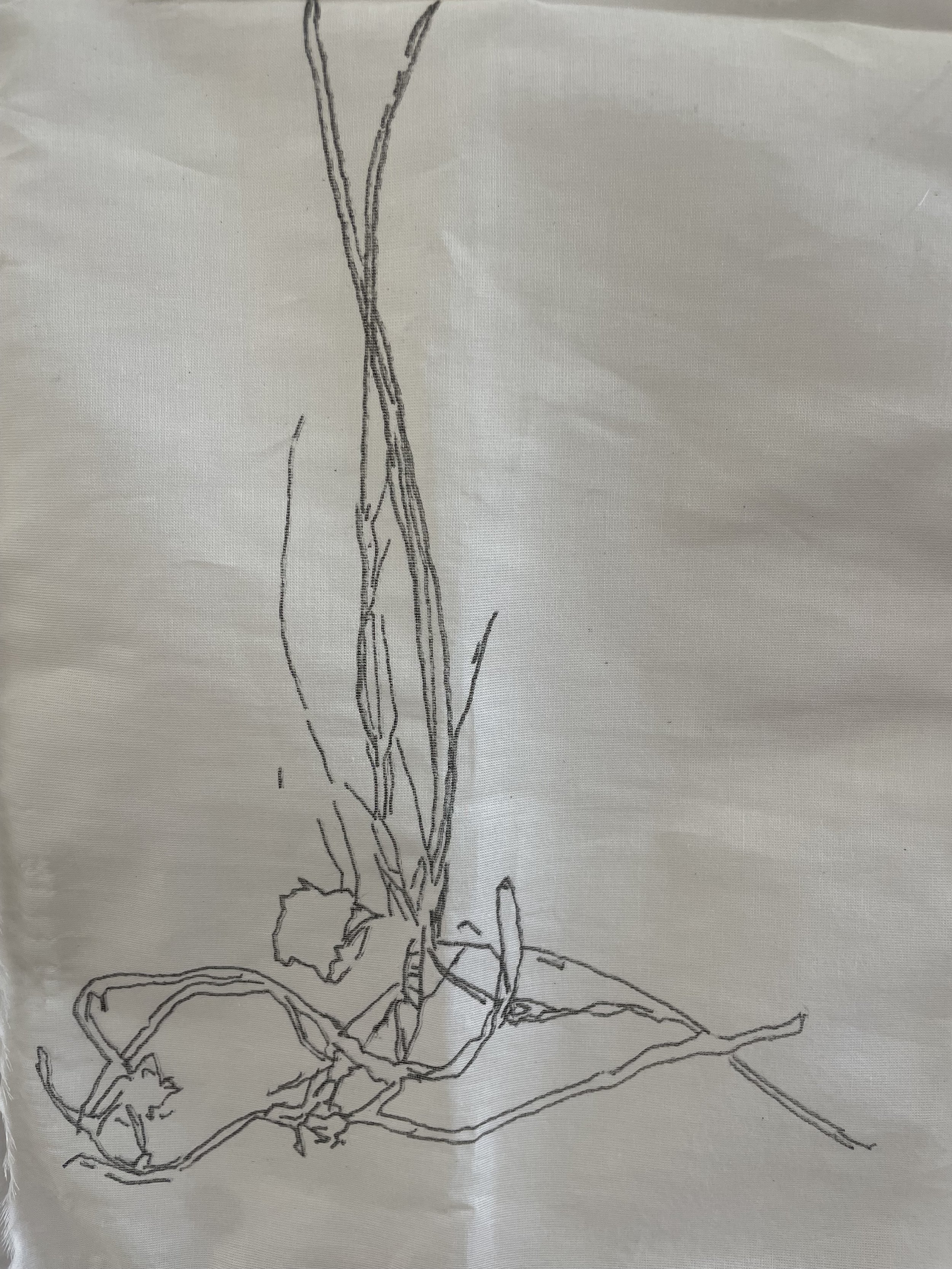"weeds" / marker on gaze