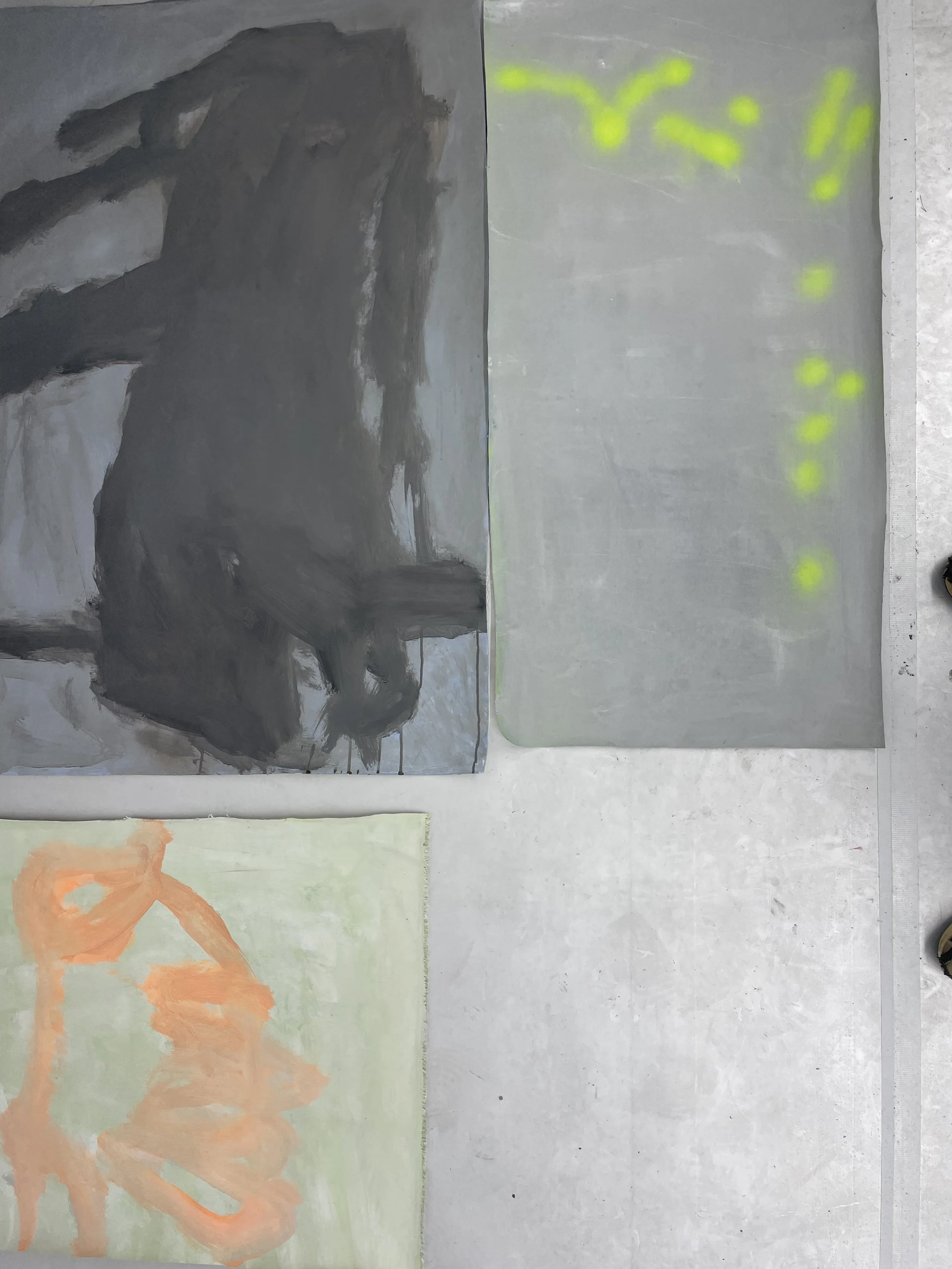  assemblage / acrylic on canvas / various measures , 2026