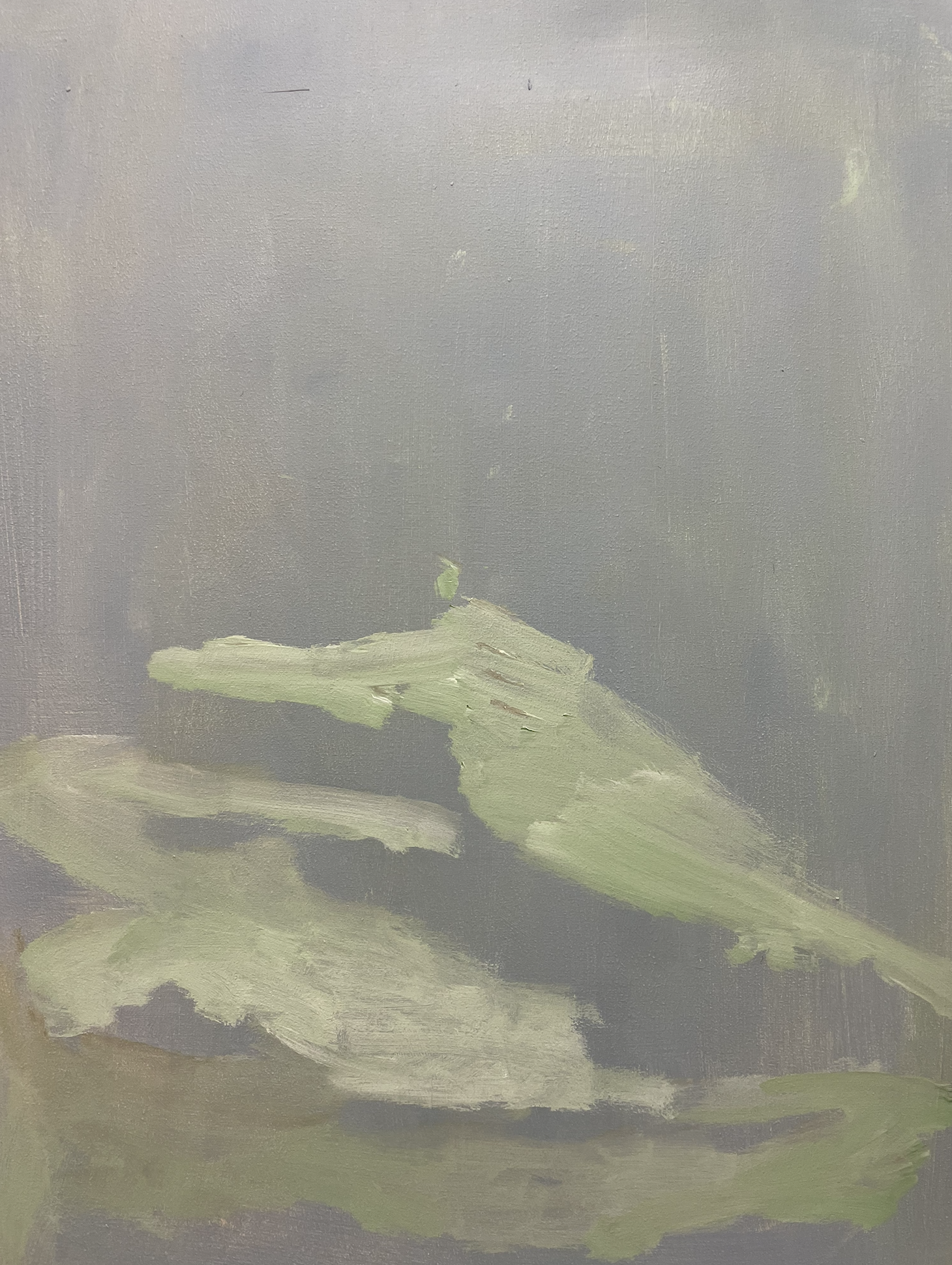 "phase 9" / acrylic on wood / 60cmx40cm, 2026