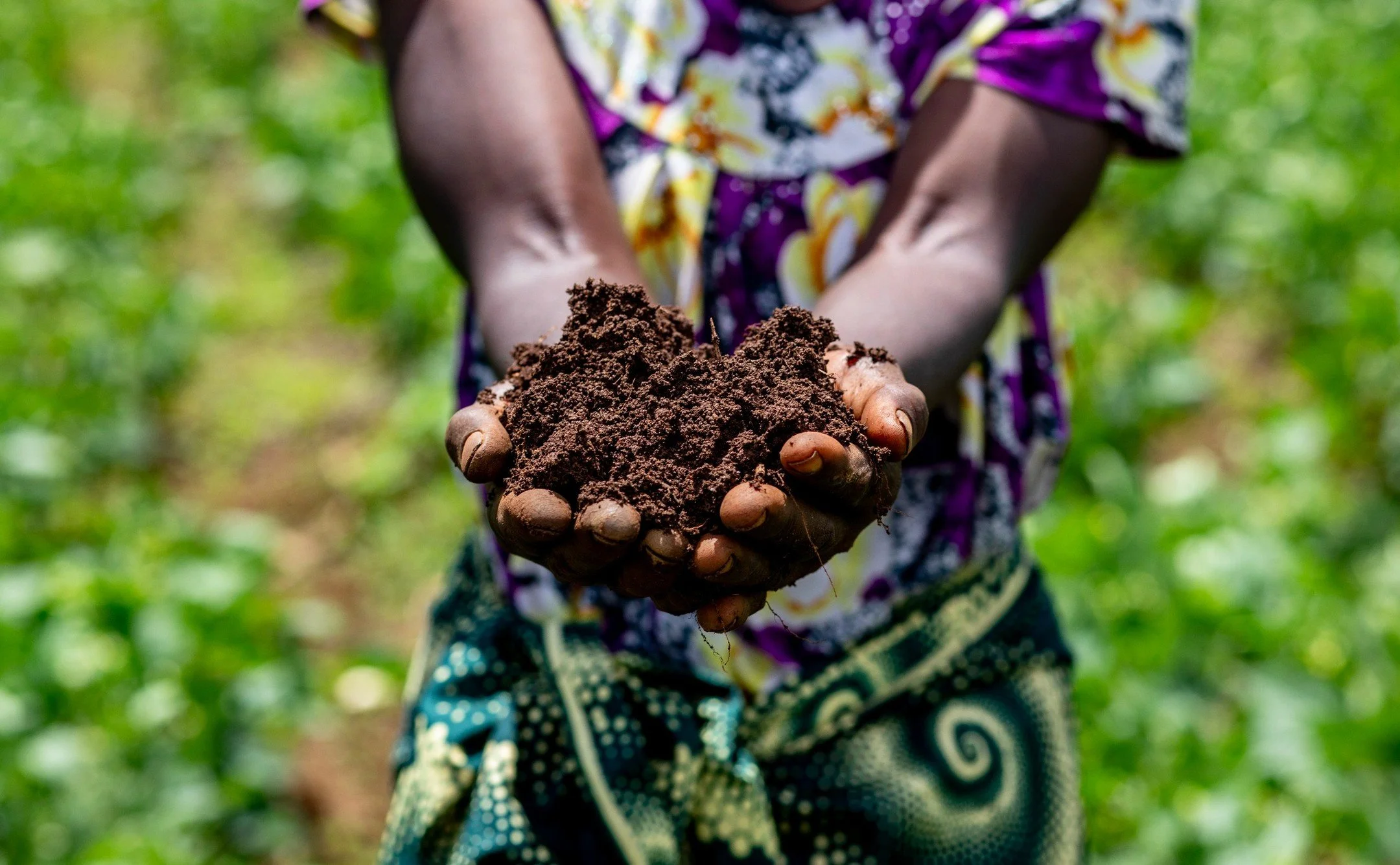 Day 6 of 16 Days of Activism: The Importance of Soil Health 🌍

Healthy soil is the foundation of sustainable farming and resilient communities. For the women of the Land for Women programme, tending to the soil is an act that ensures food security a