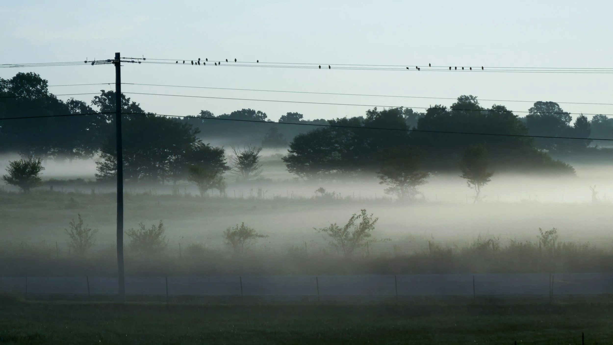 How to Migrate 100 Blog Posts to Squarespace Without Losing Your Mind