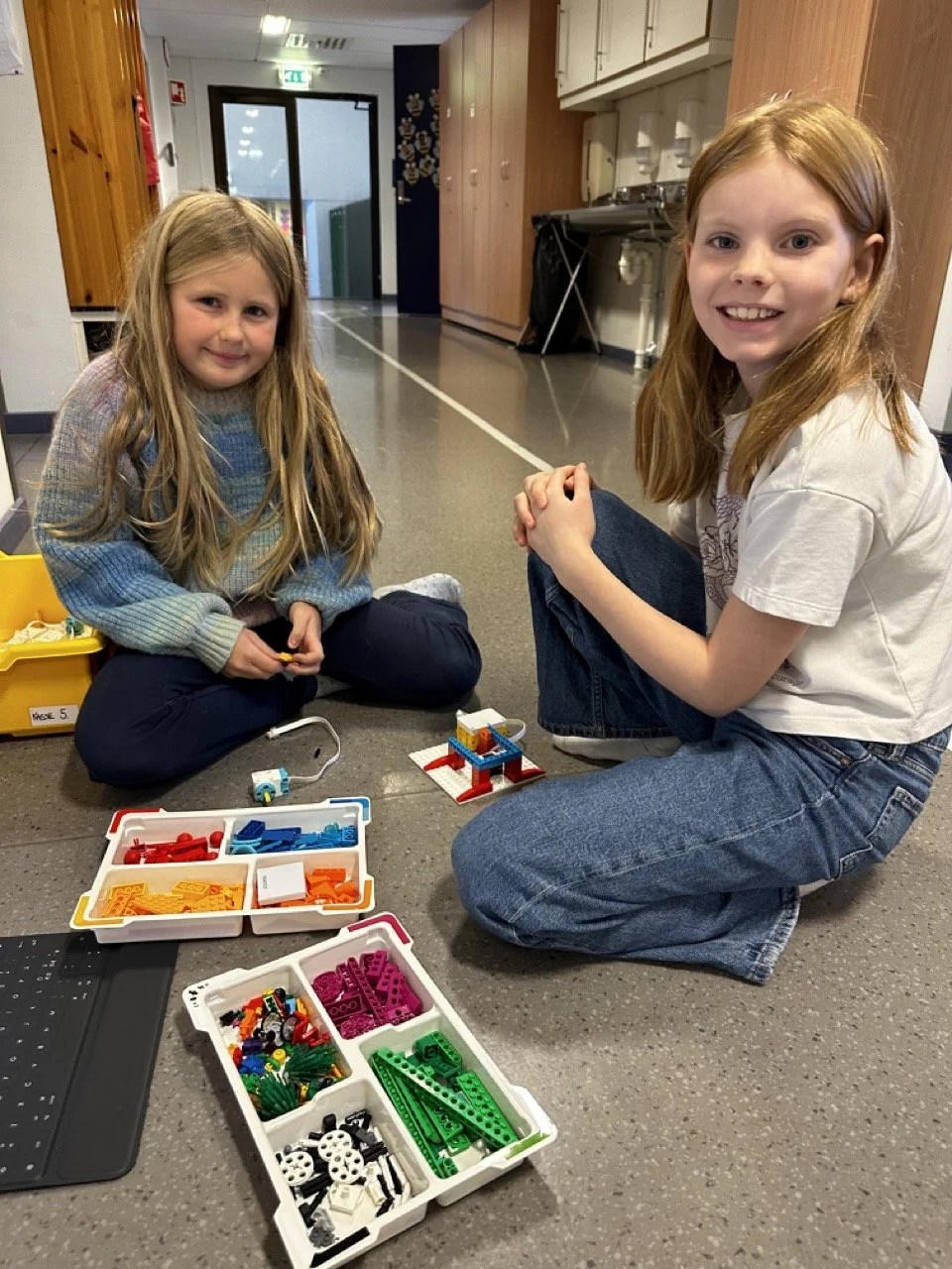 Programmering i grunnskulen