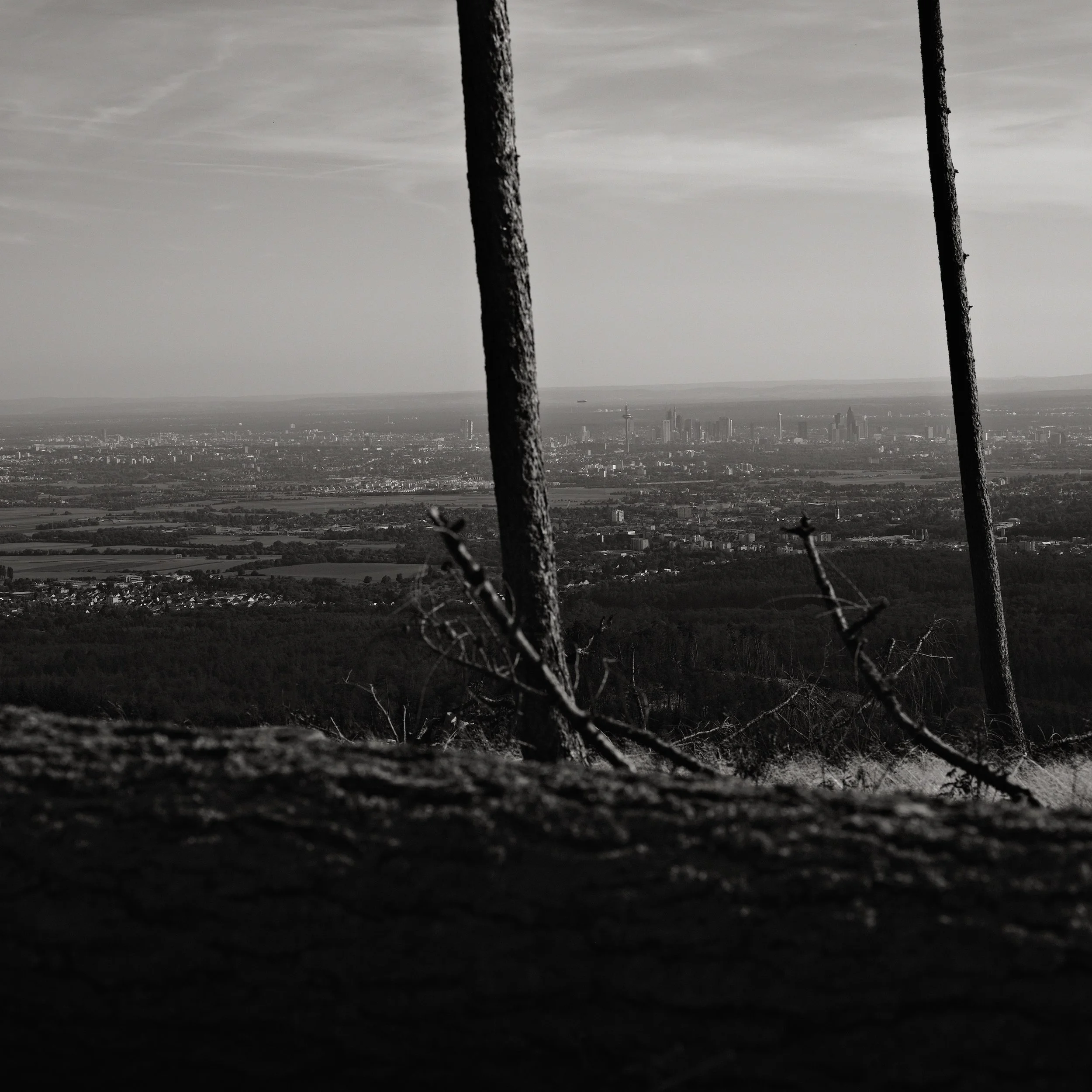 Untitled, from the series Between Forests, © Lennard Grohn