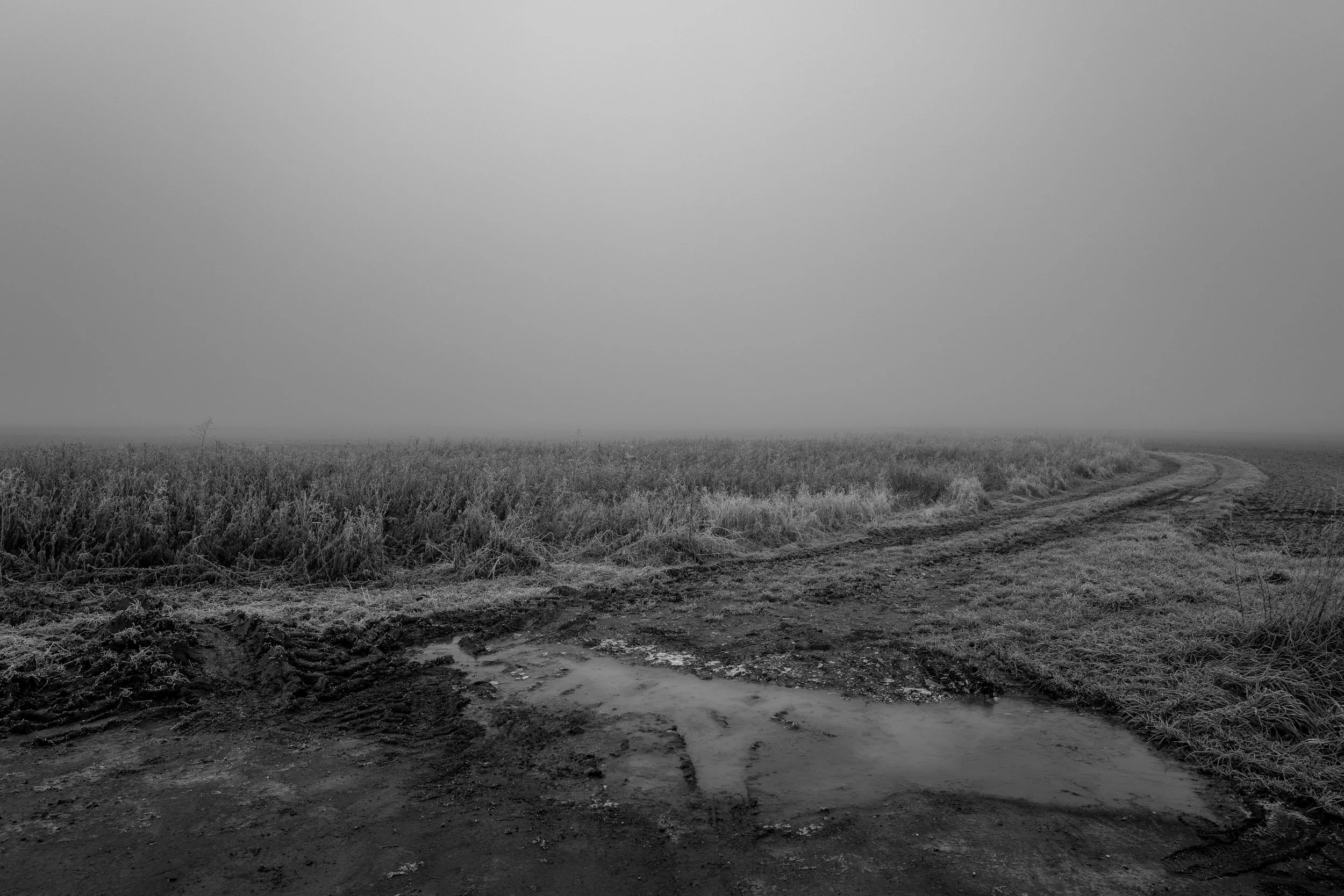 Untitled, from the series Suspended, © Lennard Grohn