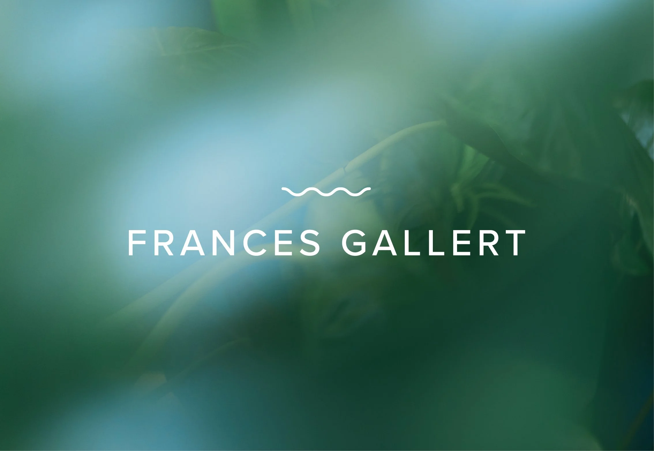 Logo Design Visuelle Identität von Frances