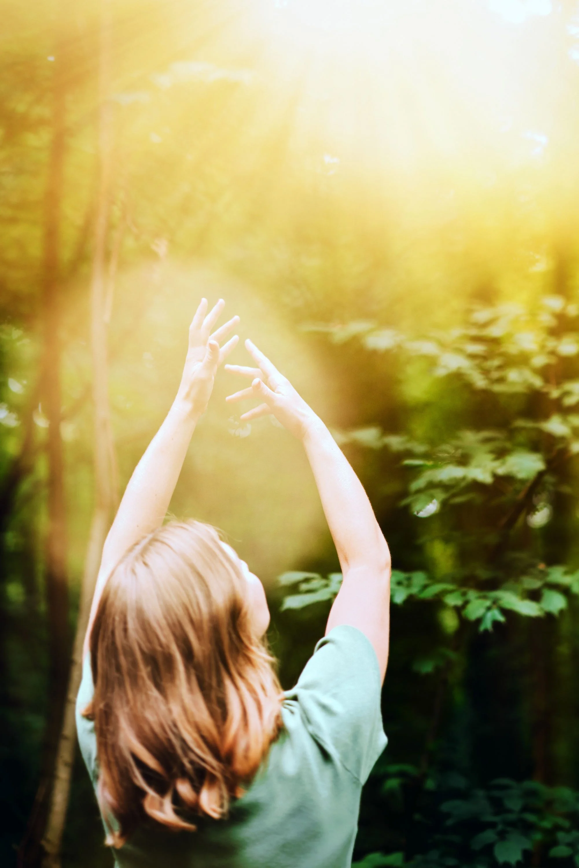 lena-hanzel-visuelle-identitaet-frances