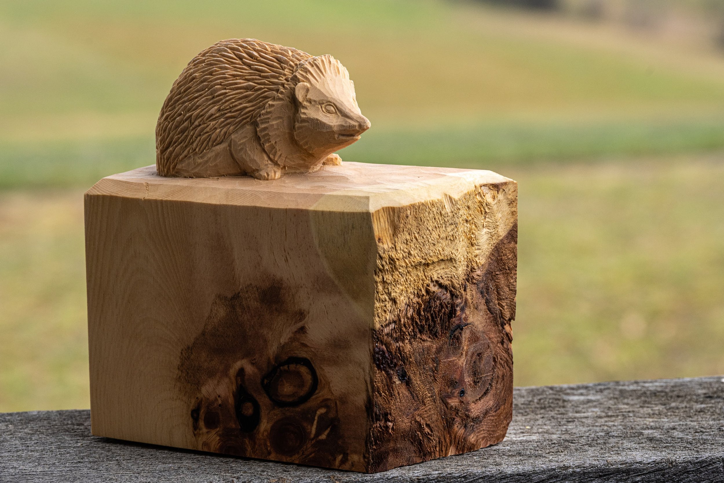 Igel geschnitzt aus Arvenholz