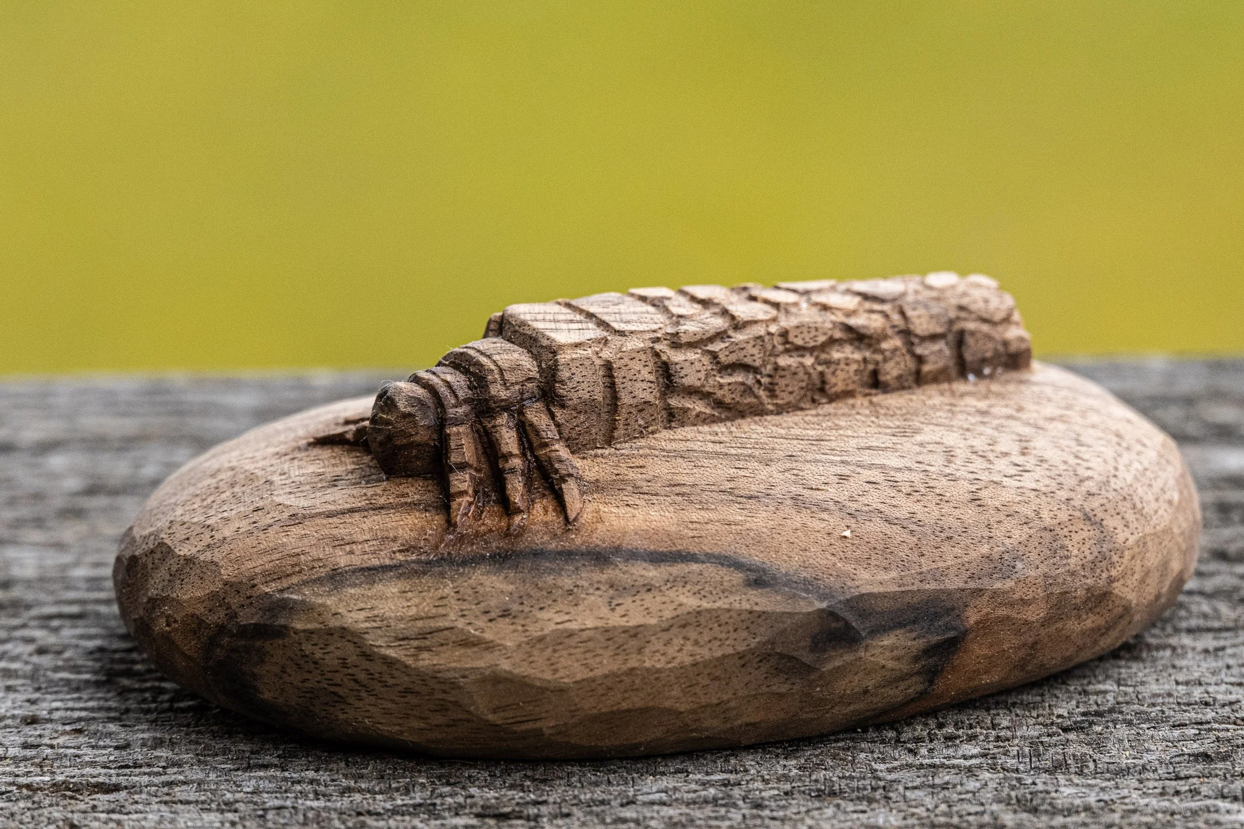 Eintagsfliegenlarve, geschnitzt in Nussbaumholz