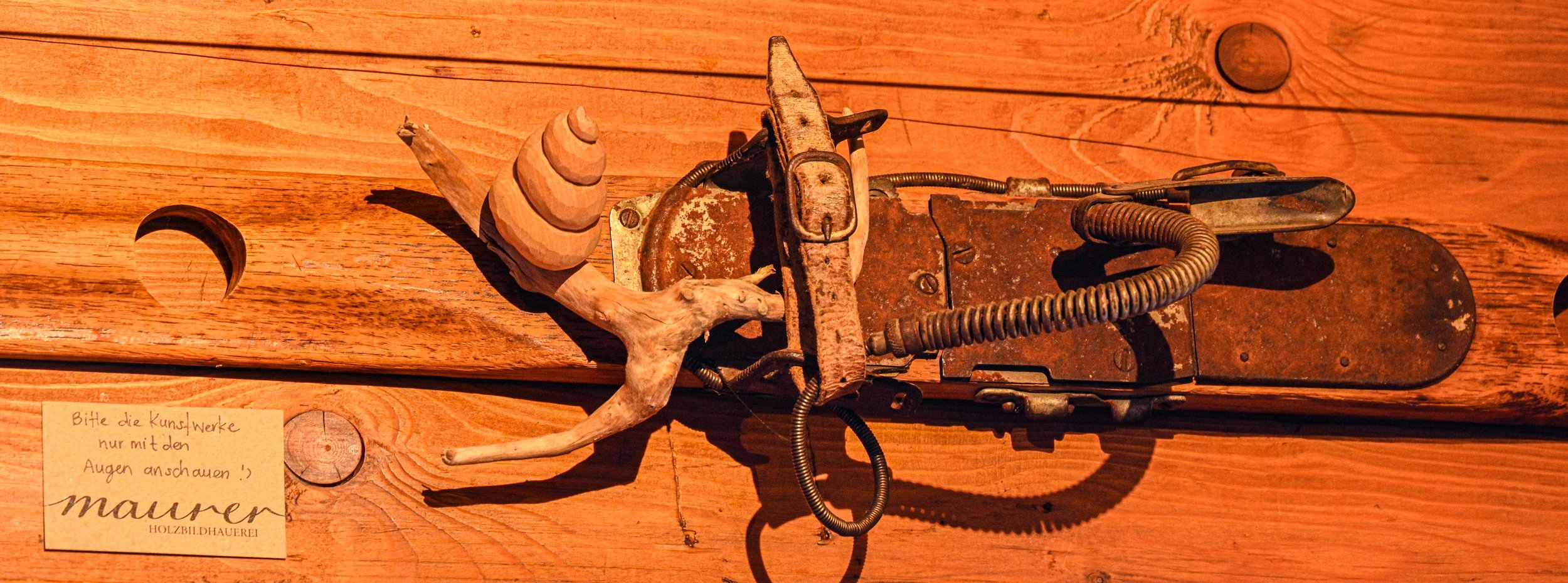 Schnecke aus Schwemmholz und Lindenholz, geschnitzt, ausgestellt auf einem alten Holzski