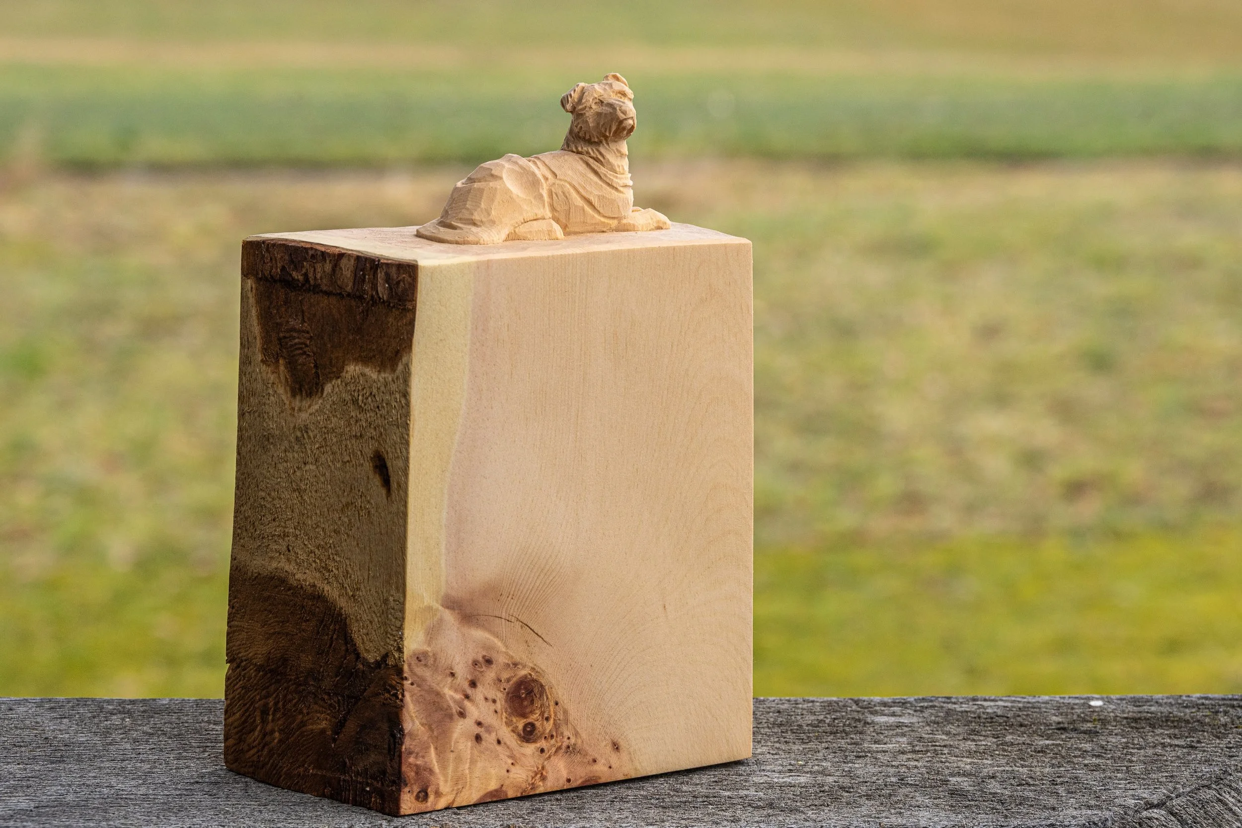 Hund in Regenmantel geschnitzt aus Arvenholz