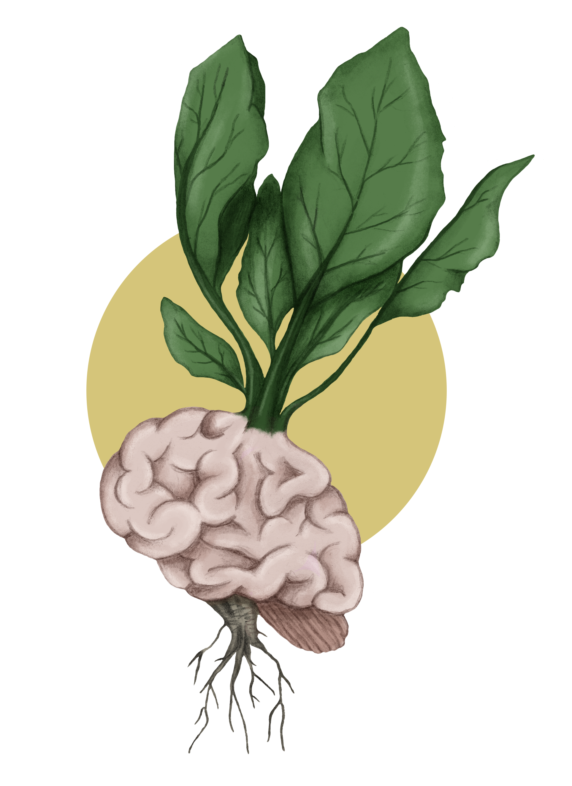 Brain_Variation_Web.png