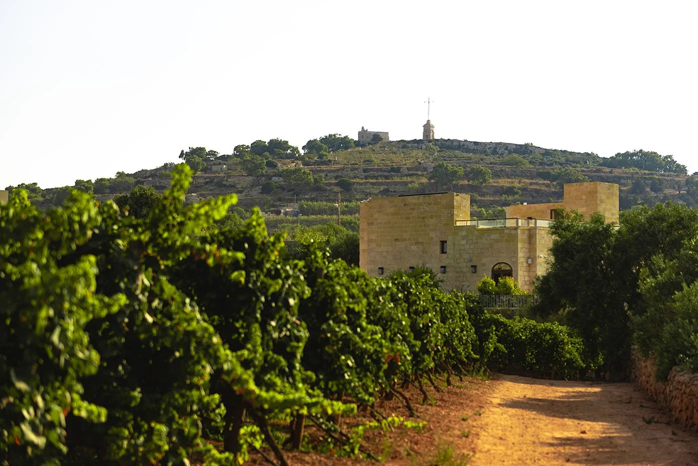 Vineyard/50 guests from £12,555