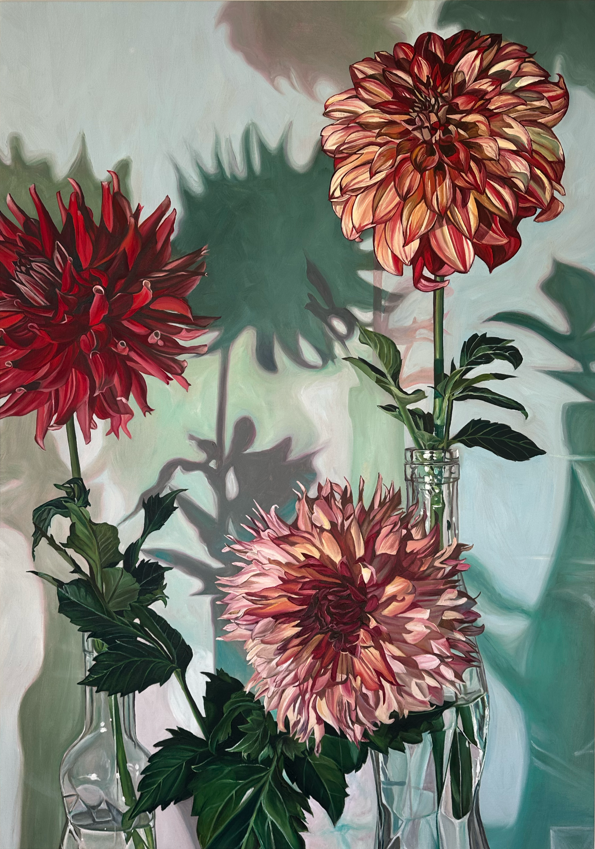 Dahlia Series