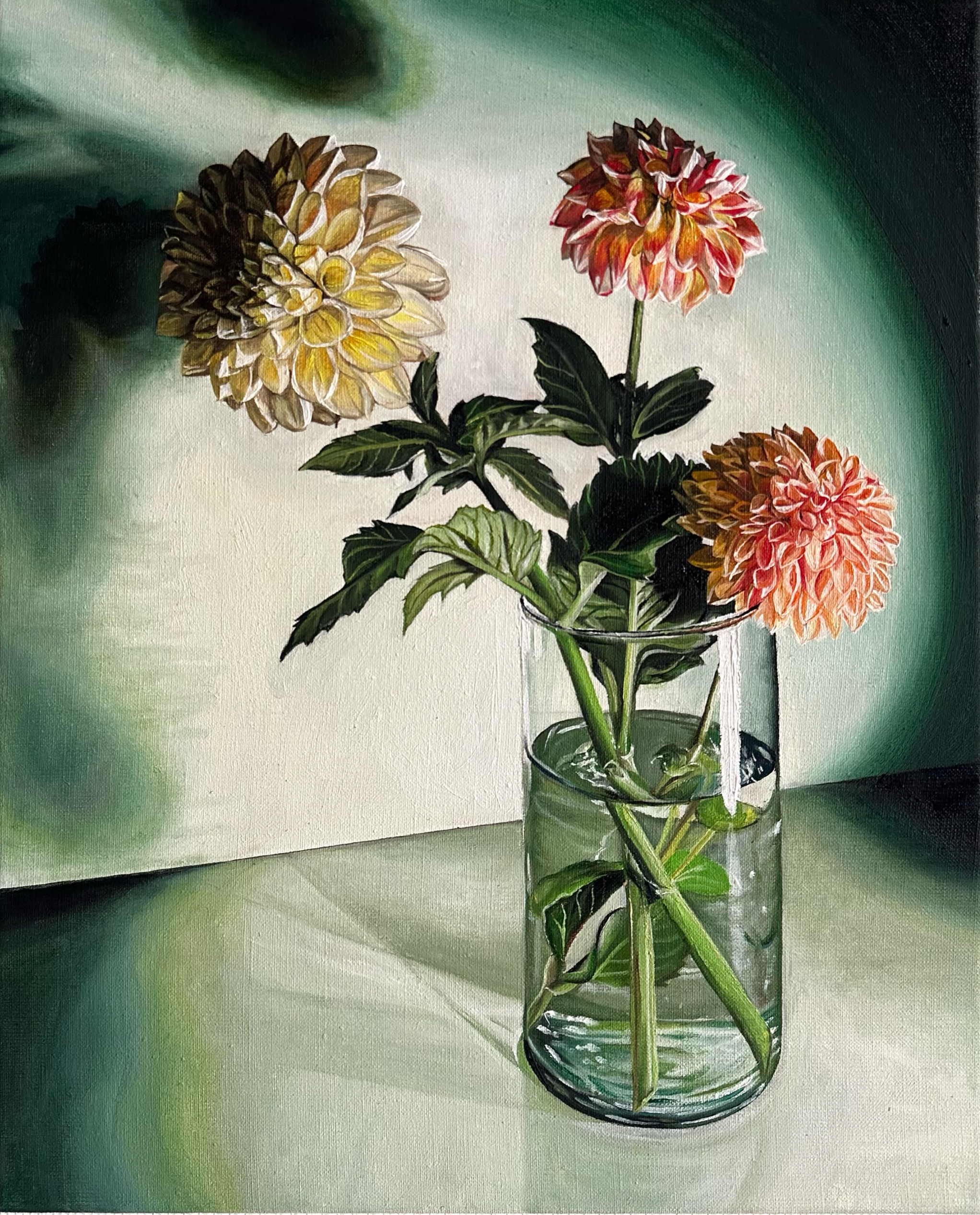 Dahlia Series