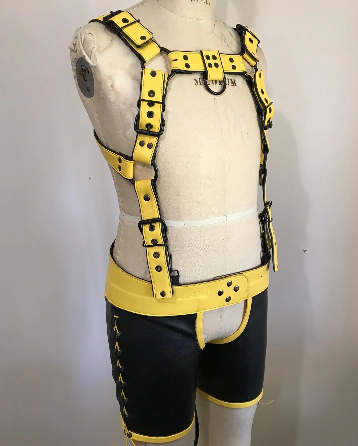 yellow n black chaps hynrid.jpeg