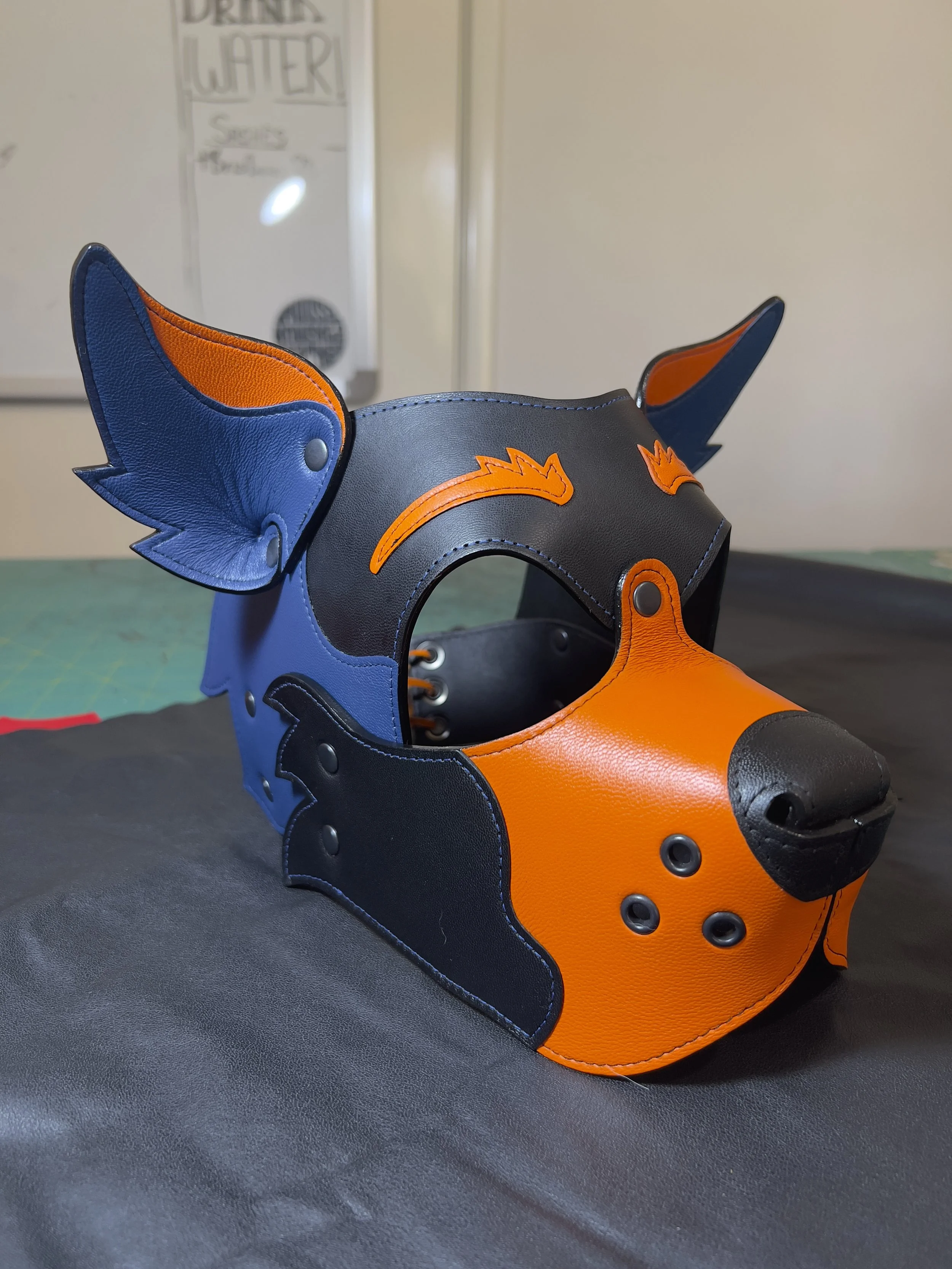 black orange blue pup hood.jpeg