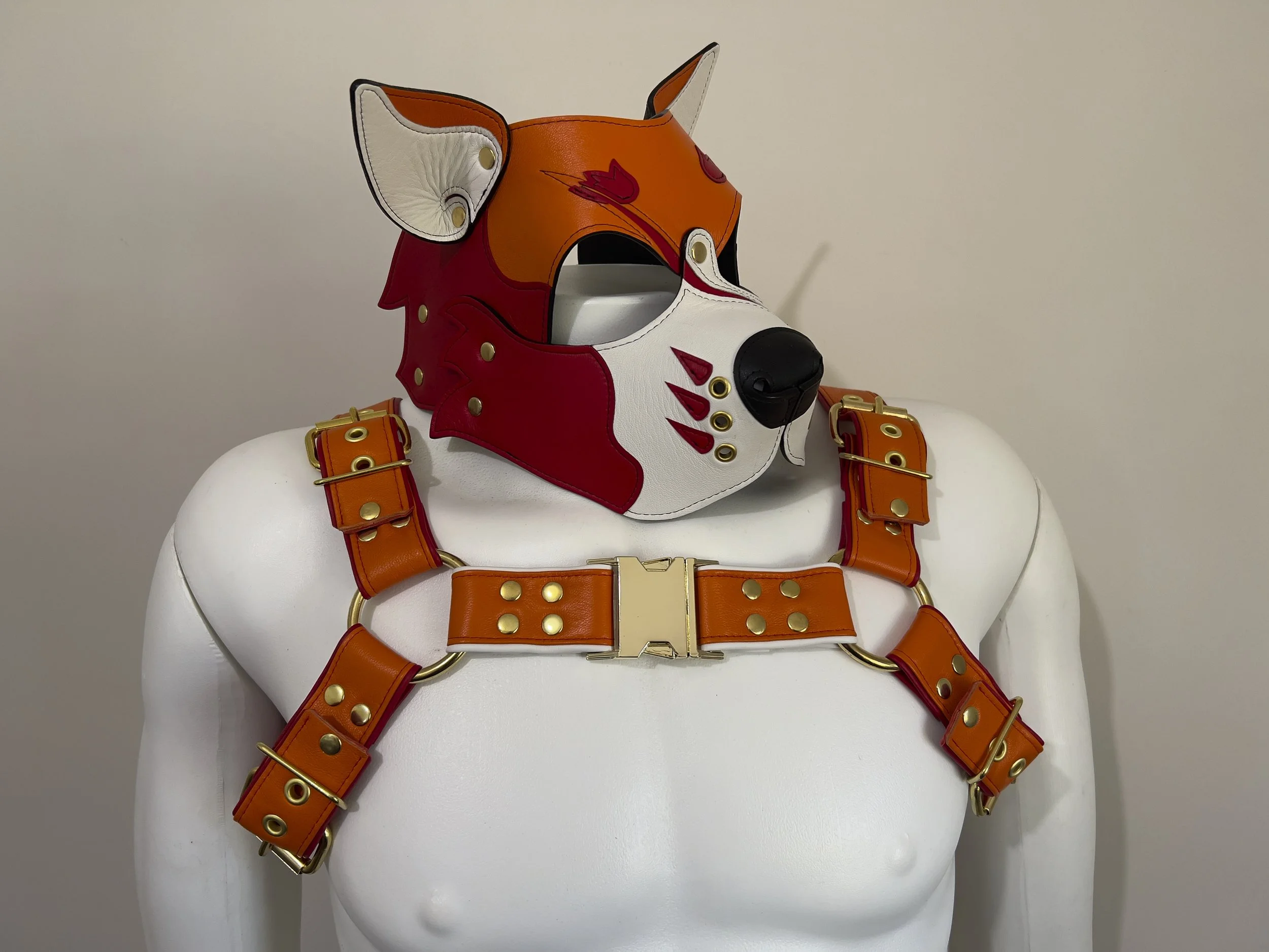 kierans face n harness.jpeg