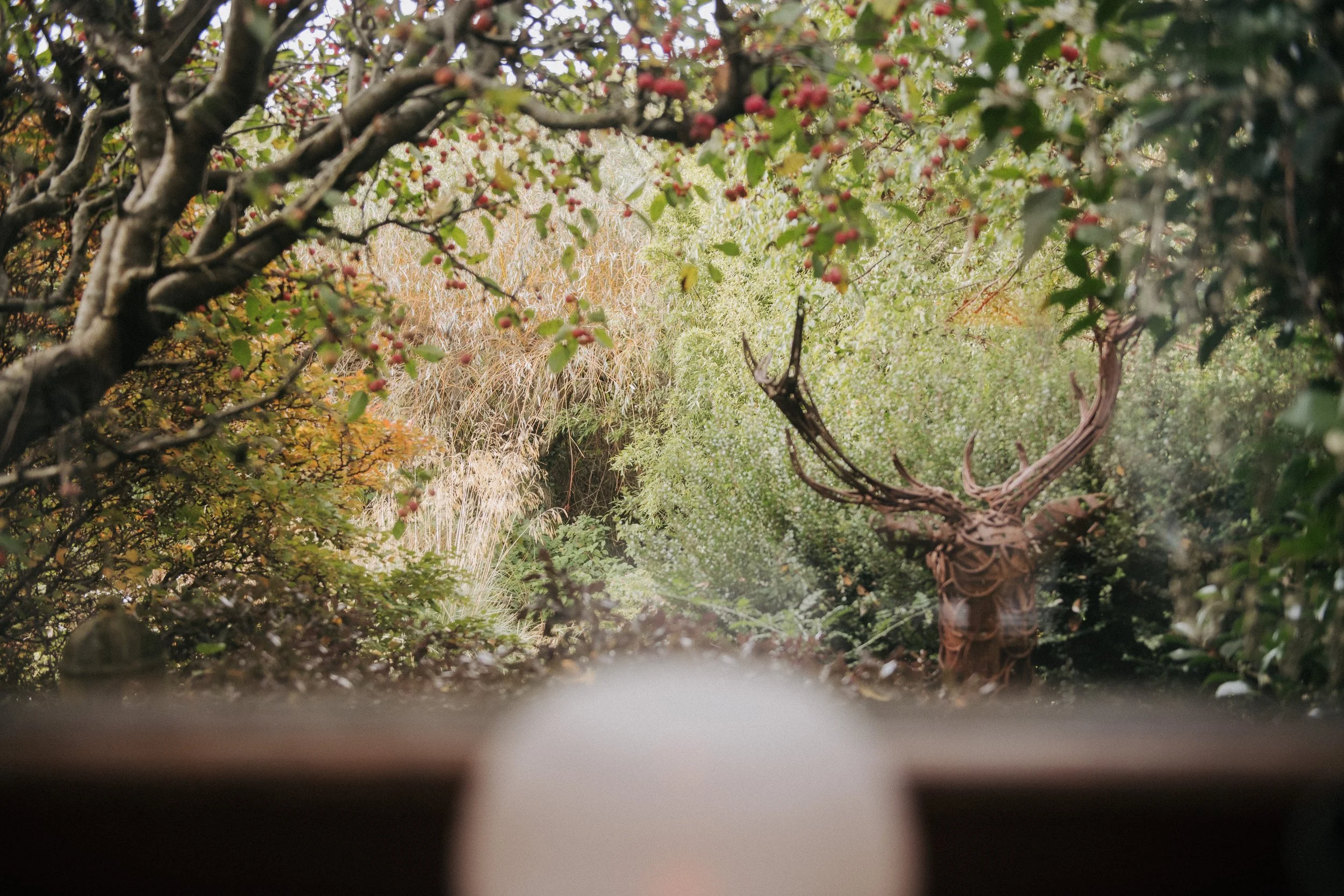 A garden scene with lush green trees and bushes, including a tree with red berries in the foreground, and a twisted, sculptural tree trunk with branches resembling antlers in the background.