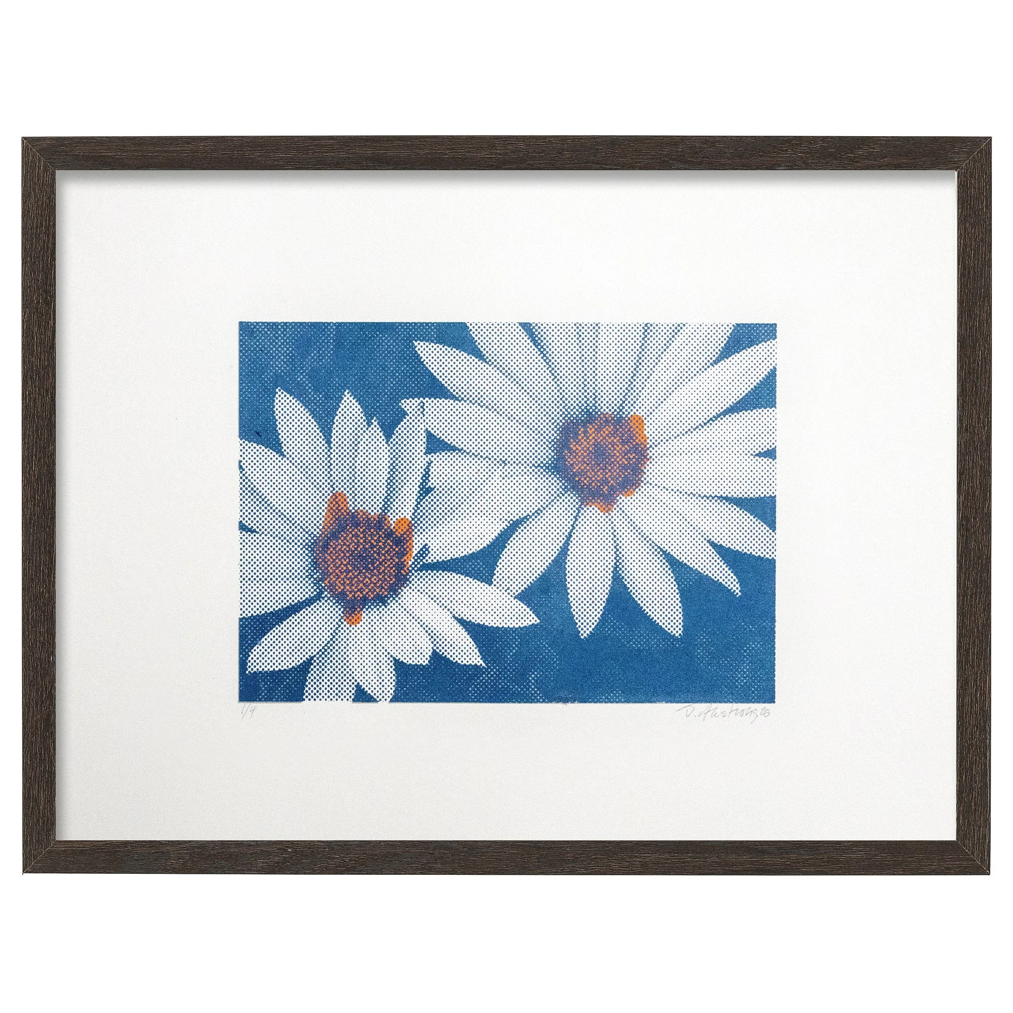 Gry_Tur_Org_Dasies-frame.jpg