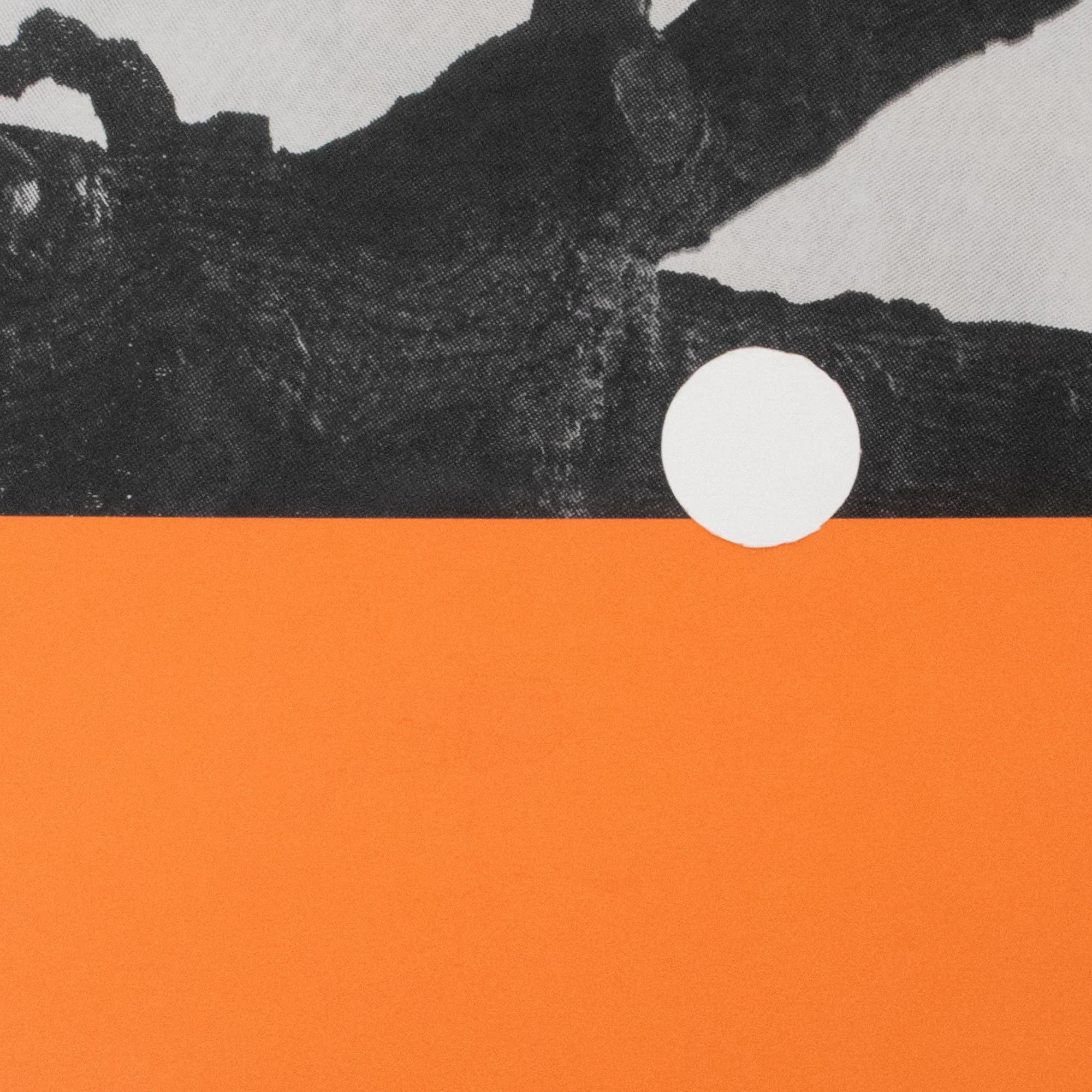 Baucis_Collage_detail.jpg