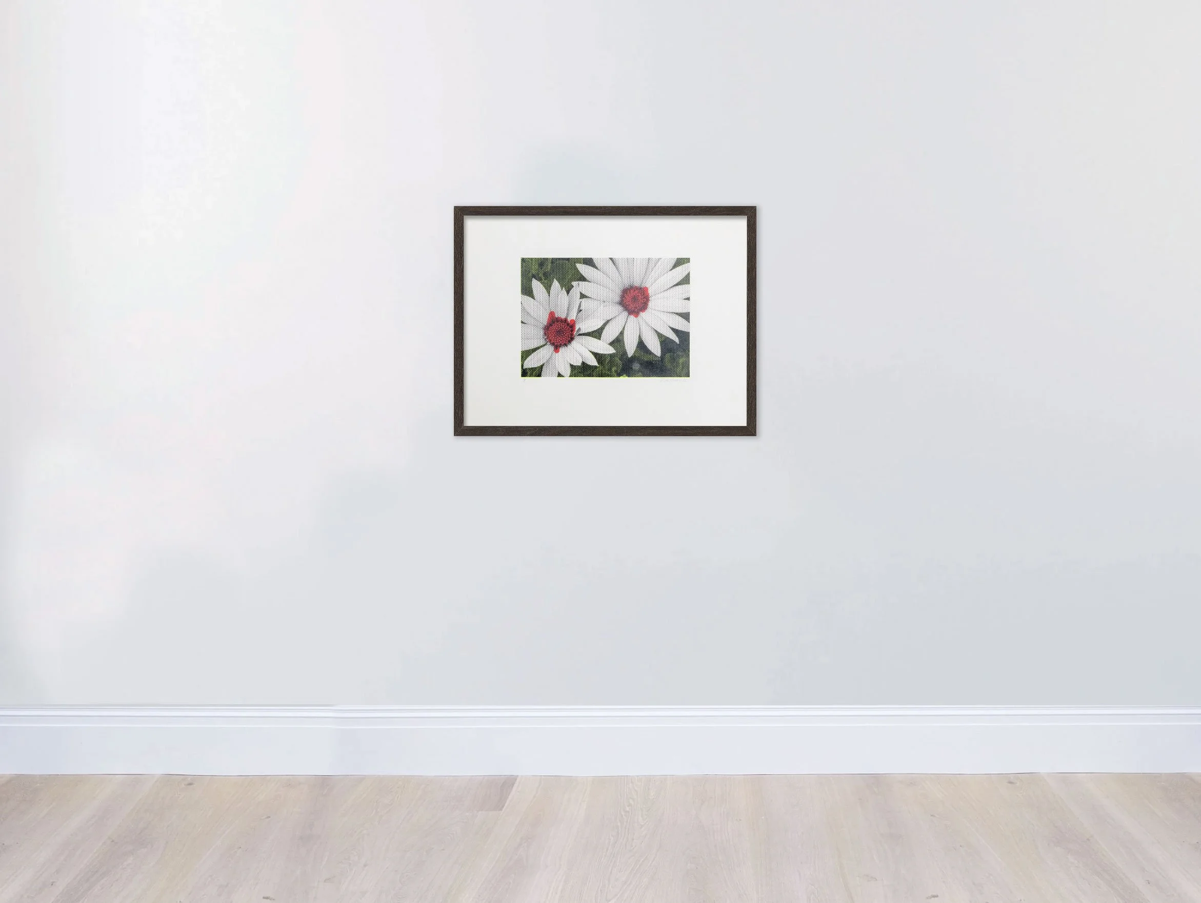 Lim_Mag_Blk_Dasies-WallFrame.jpg