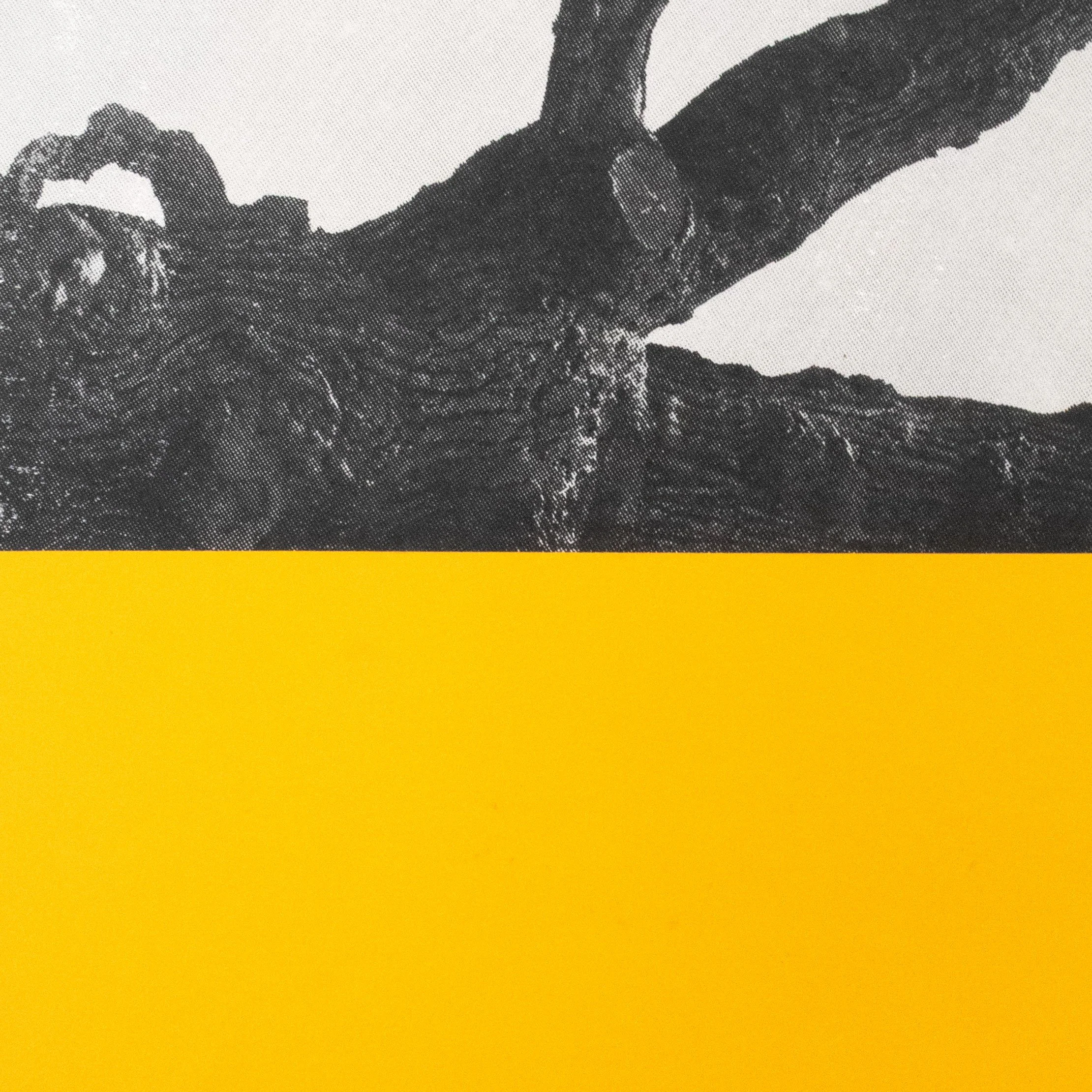 Philemon_Collage_detail.jpg