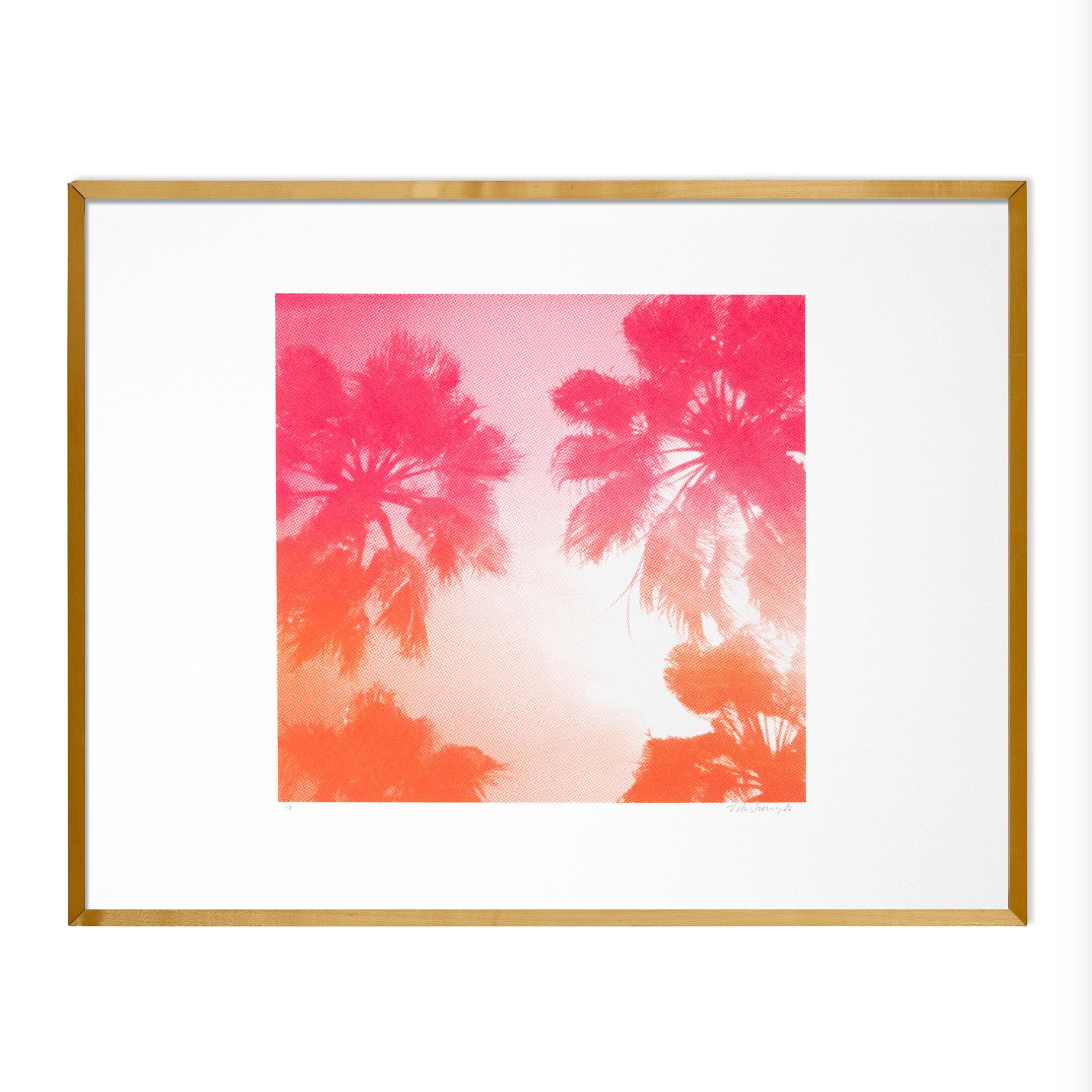 Pnk_Org_PalmTrees_4off_Wooden-frame-landscape.jpg