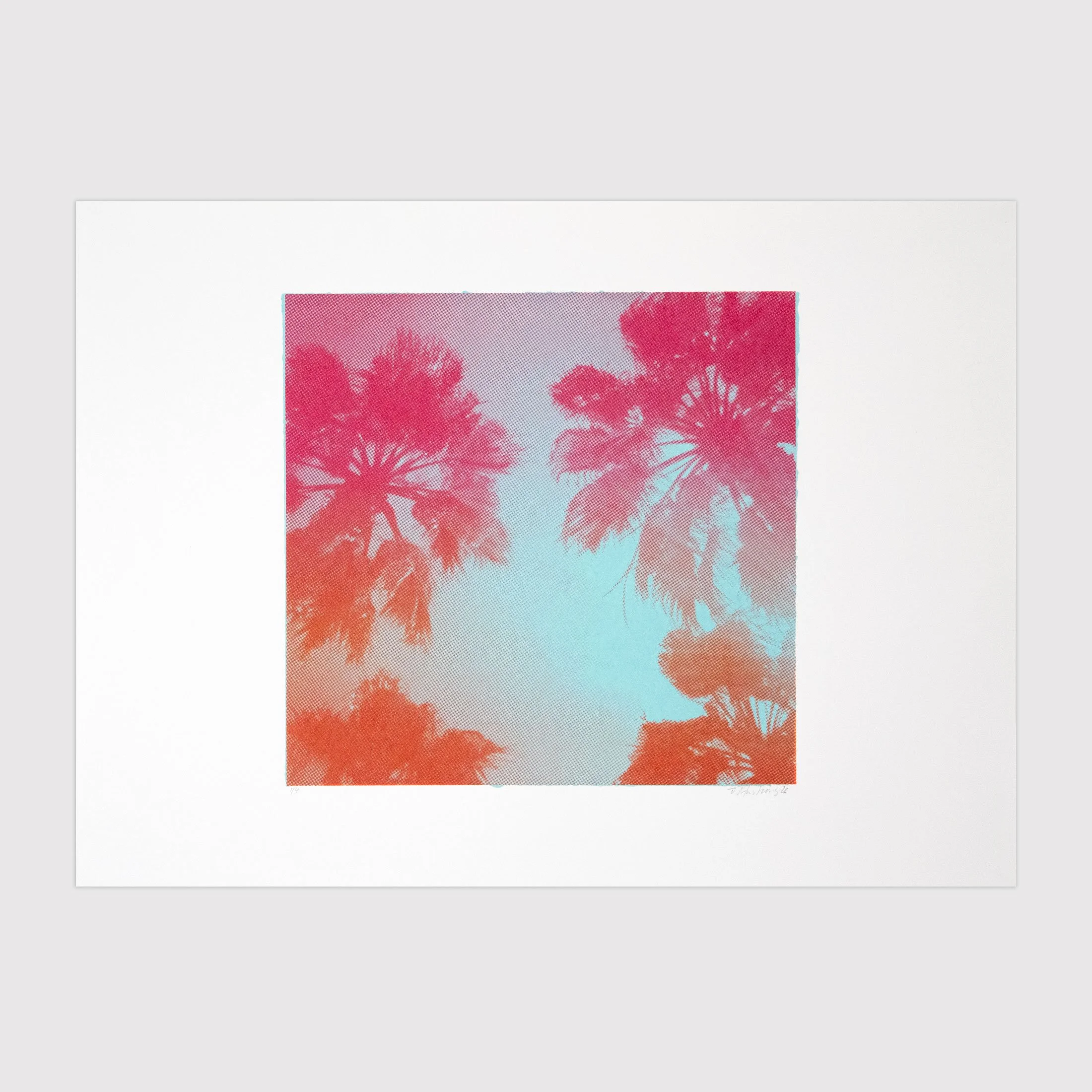 Pnk_Or_Blu_PalmTrees_4off_square.jpg