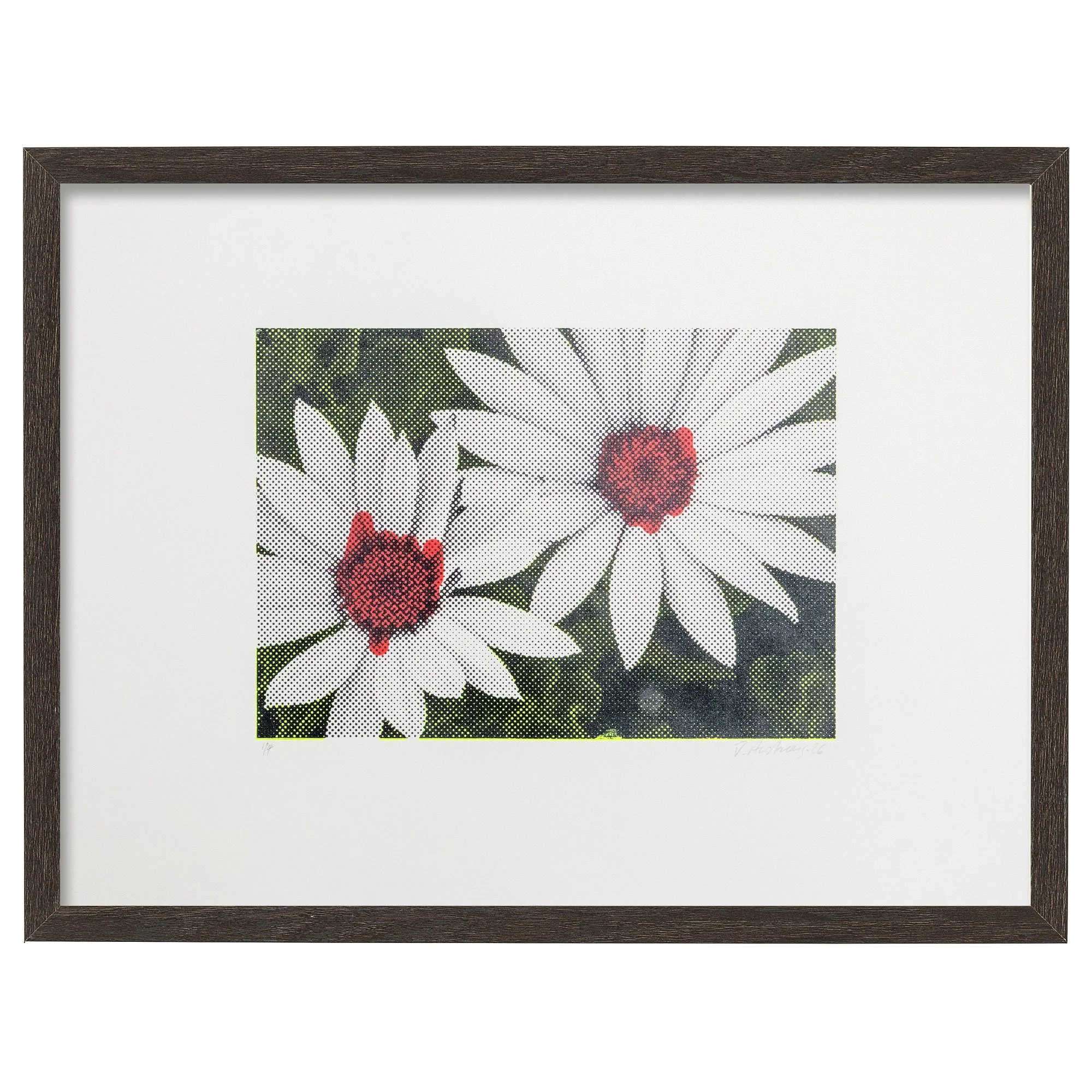 Lim_Mag_Blk_Dasies-frame.jpg