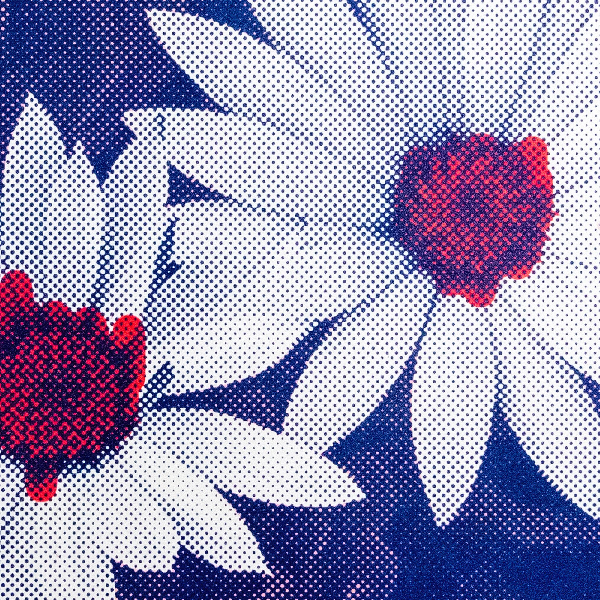 pnk_Mag_Nav_Dasies-detail.jpg