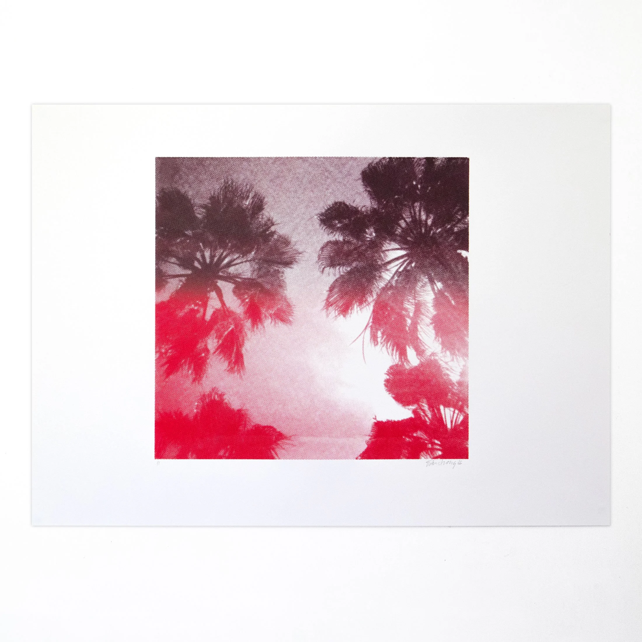 Red_Palm-Trees_1off_Square.jpg