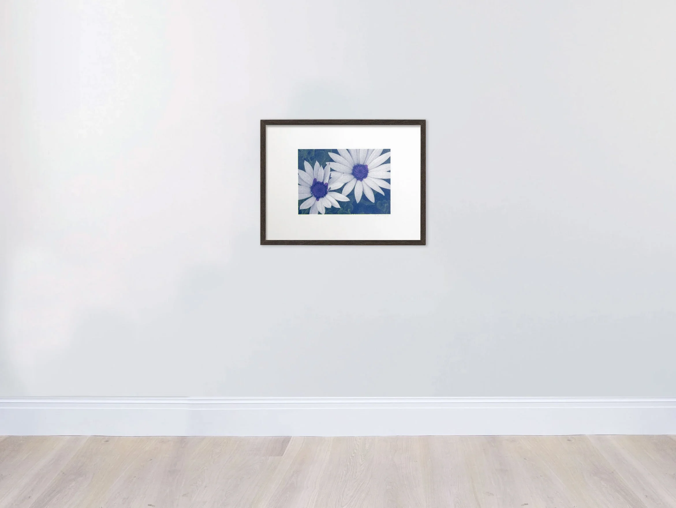 Lim_Vio_Nvy_Daisies-WallFrame.jpg