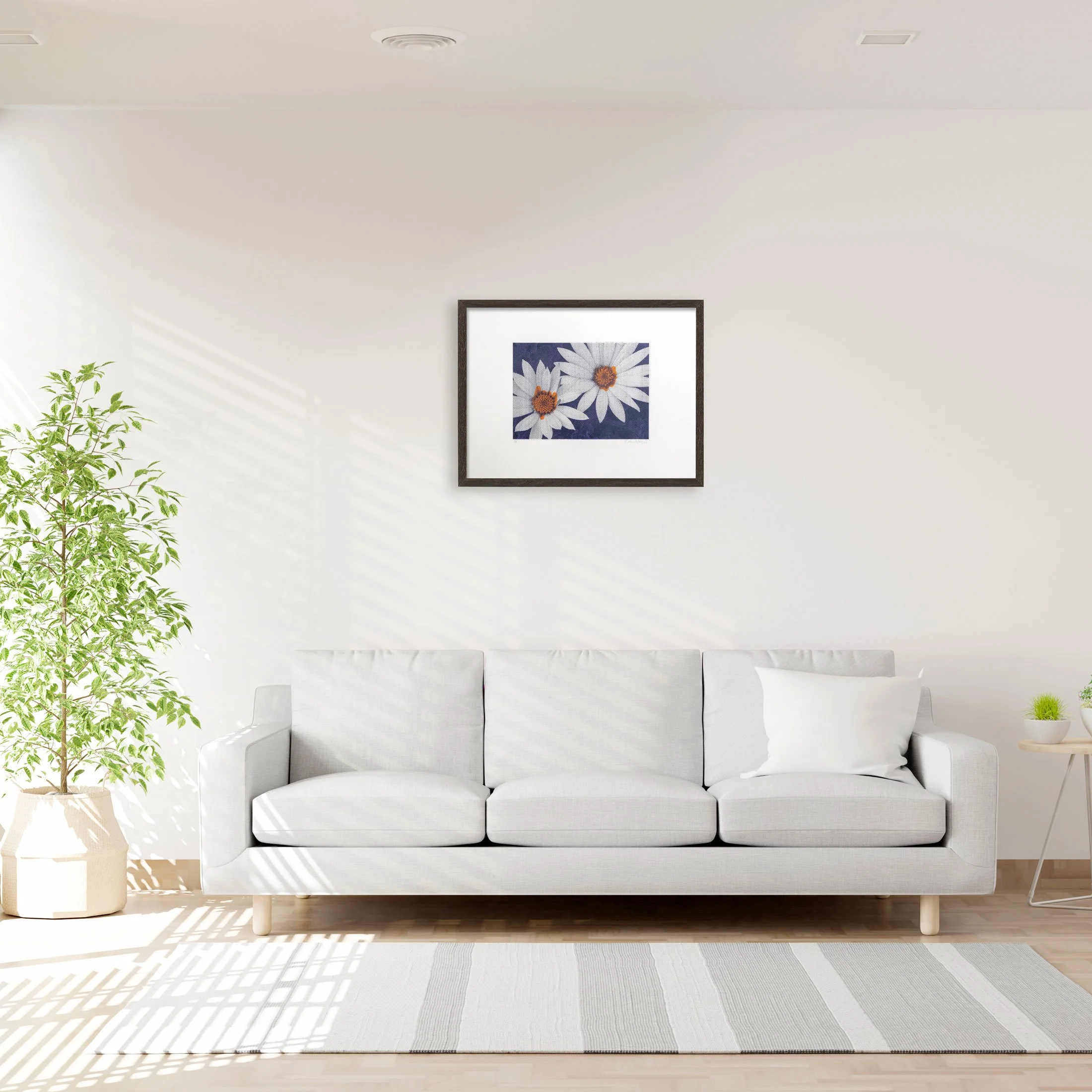 Vio_Org_Nvy_Dasies-room.jpg