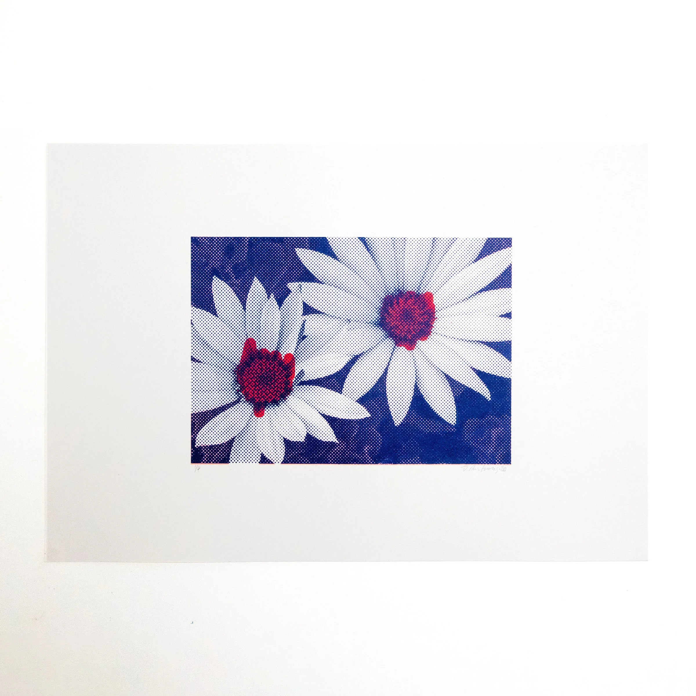 pnk_Mag_Nav_Dasies-square.jpg