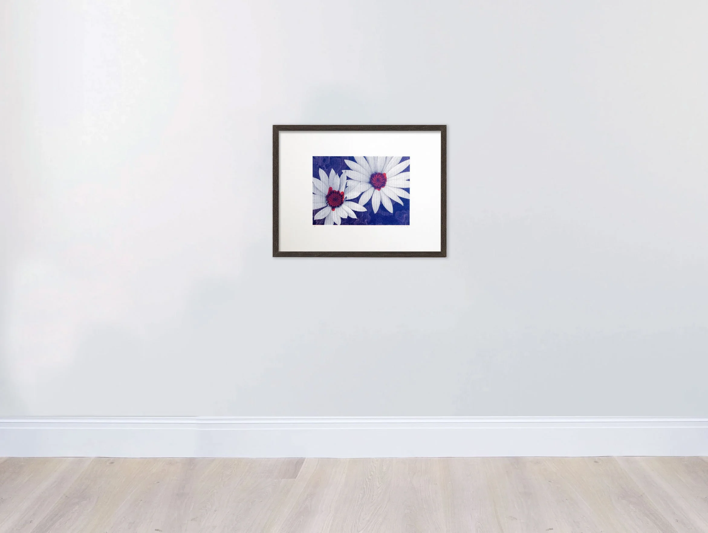 pnk_Mag_Nav_Dasies-WallFrame.jpg