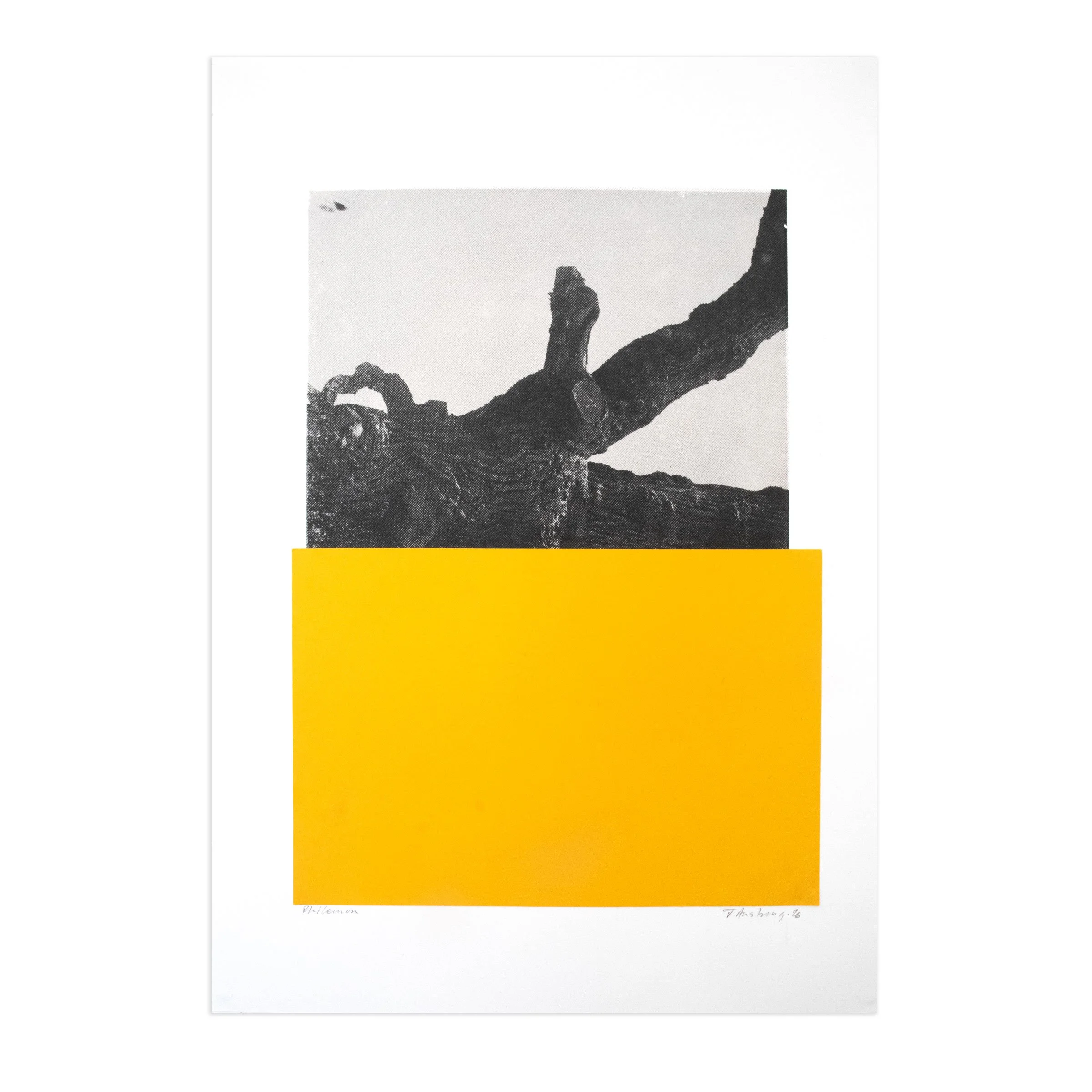 Philemon_Collage_square.jpg