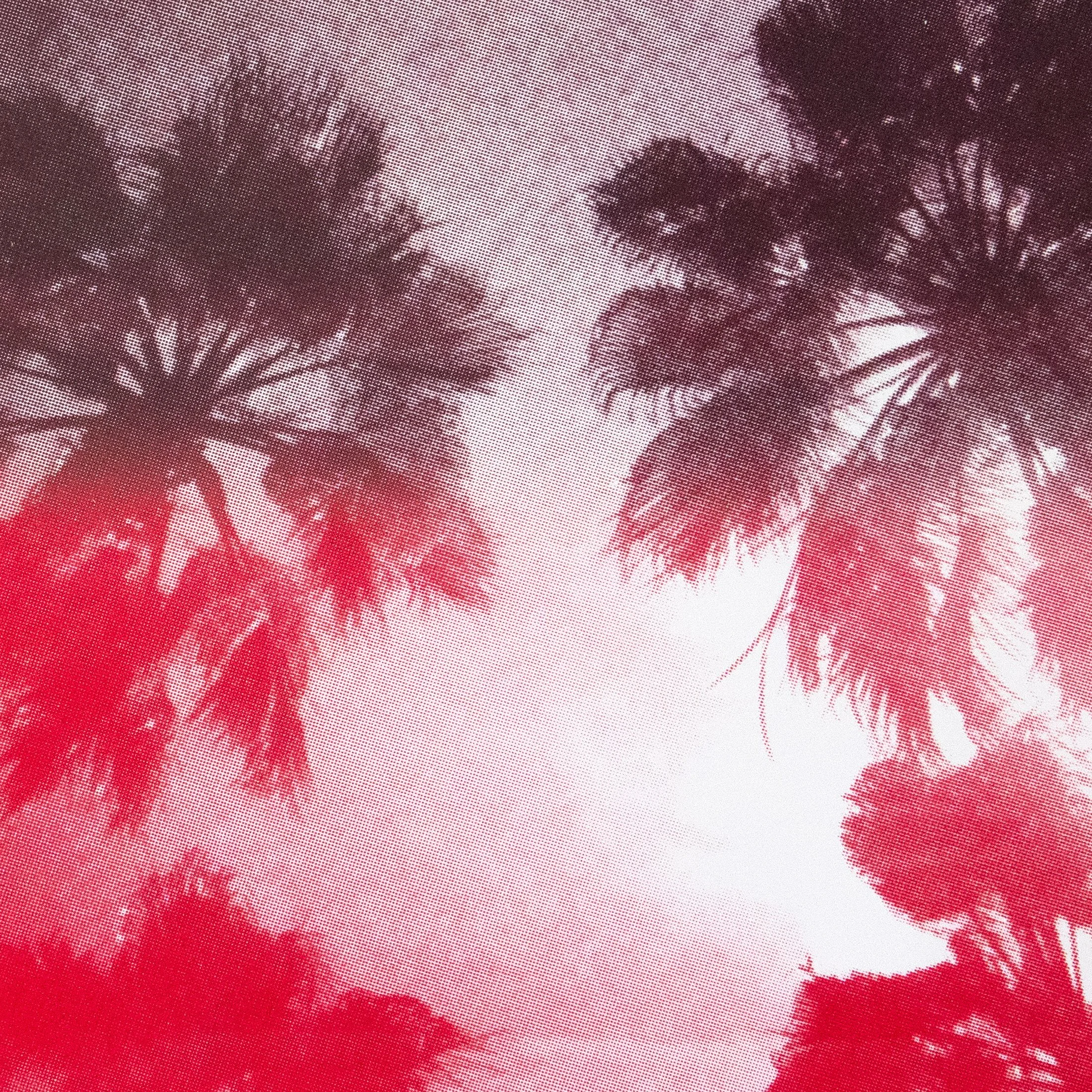 Red_Palm-Trees_1off_Detail.jpg