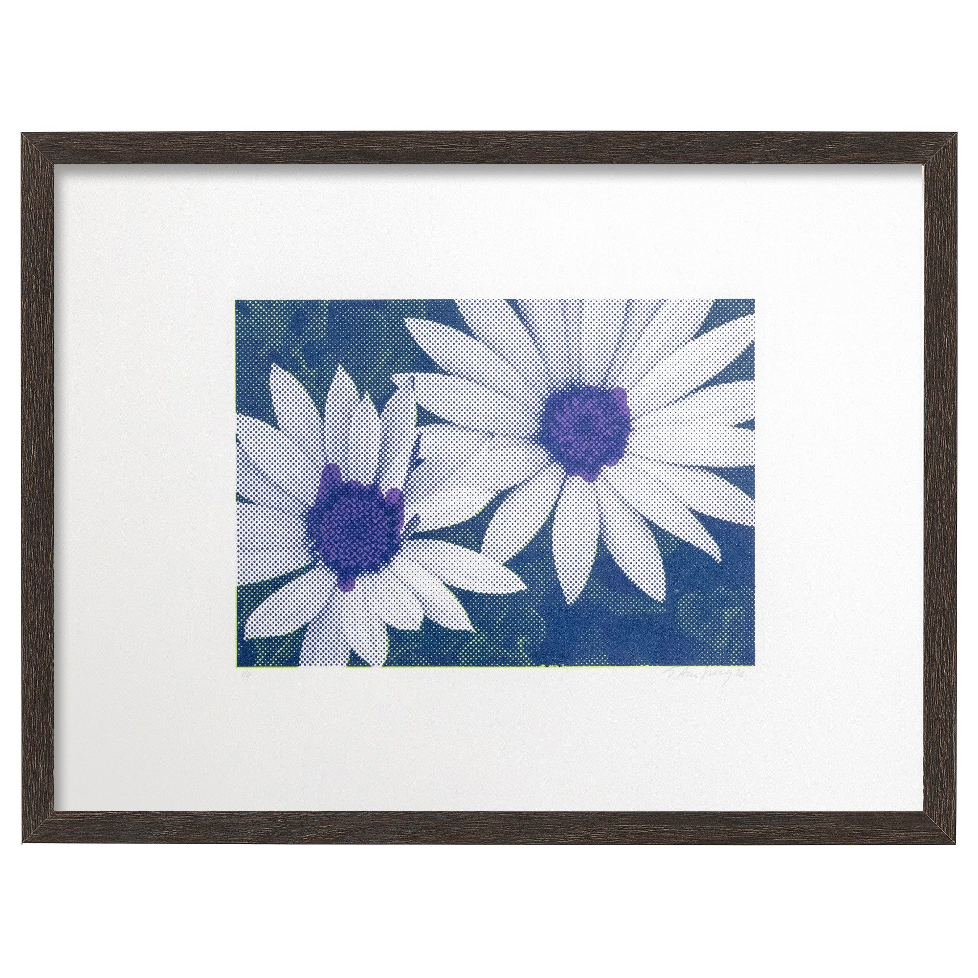 Lim_Vio_Nvy_Daisies-frame.jpg