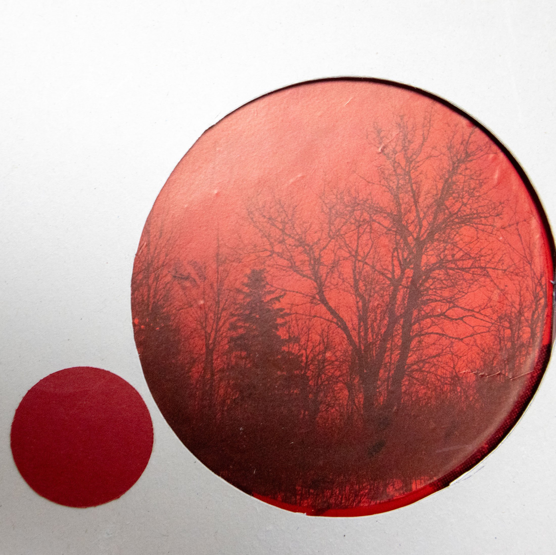 A3_Rd_Dot_3D_Collage_detail2.jpg