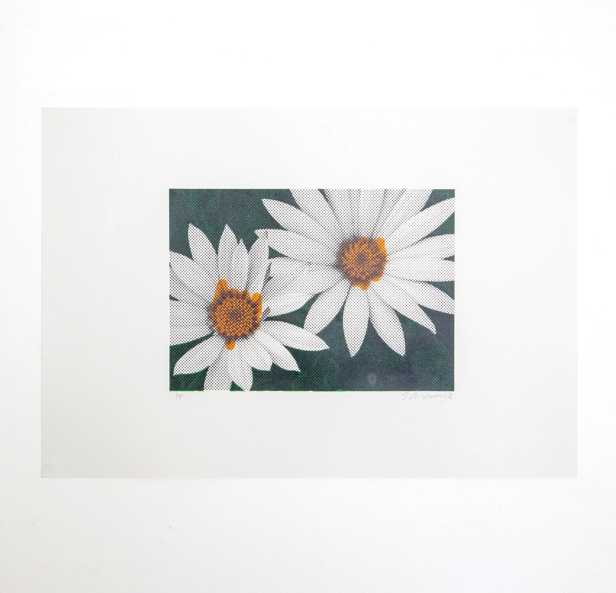 Grn_Org_Blk_Dasies-square.jpg