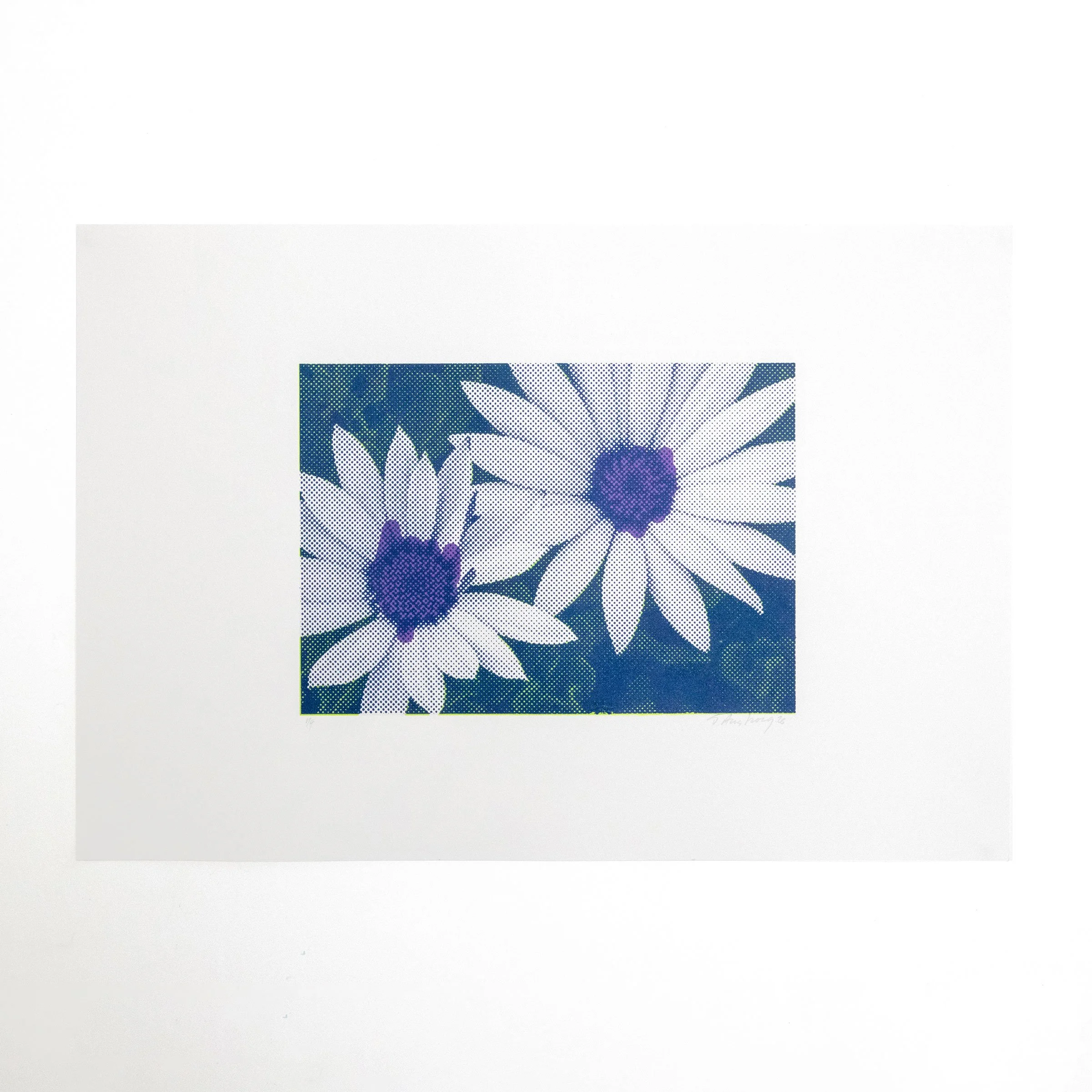 Lim_Vio_Nvy_Daisies-square.jpg