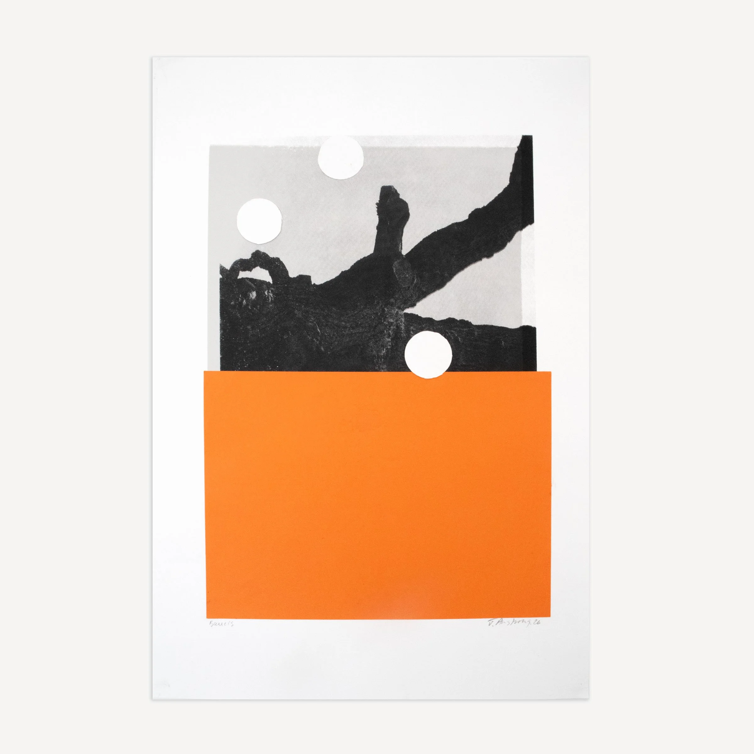 Baucis_Collage_square.jpg