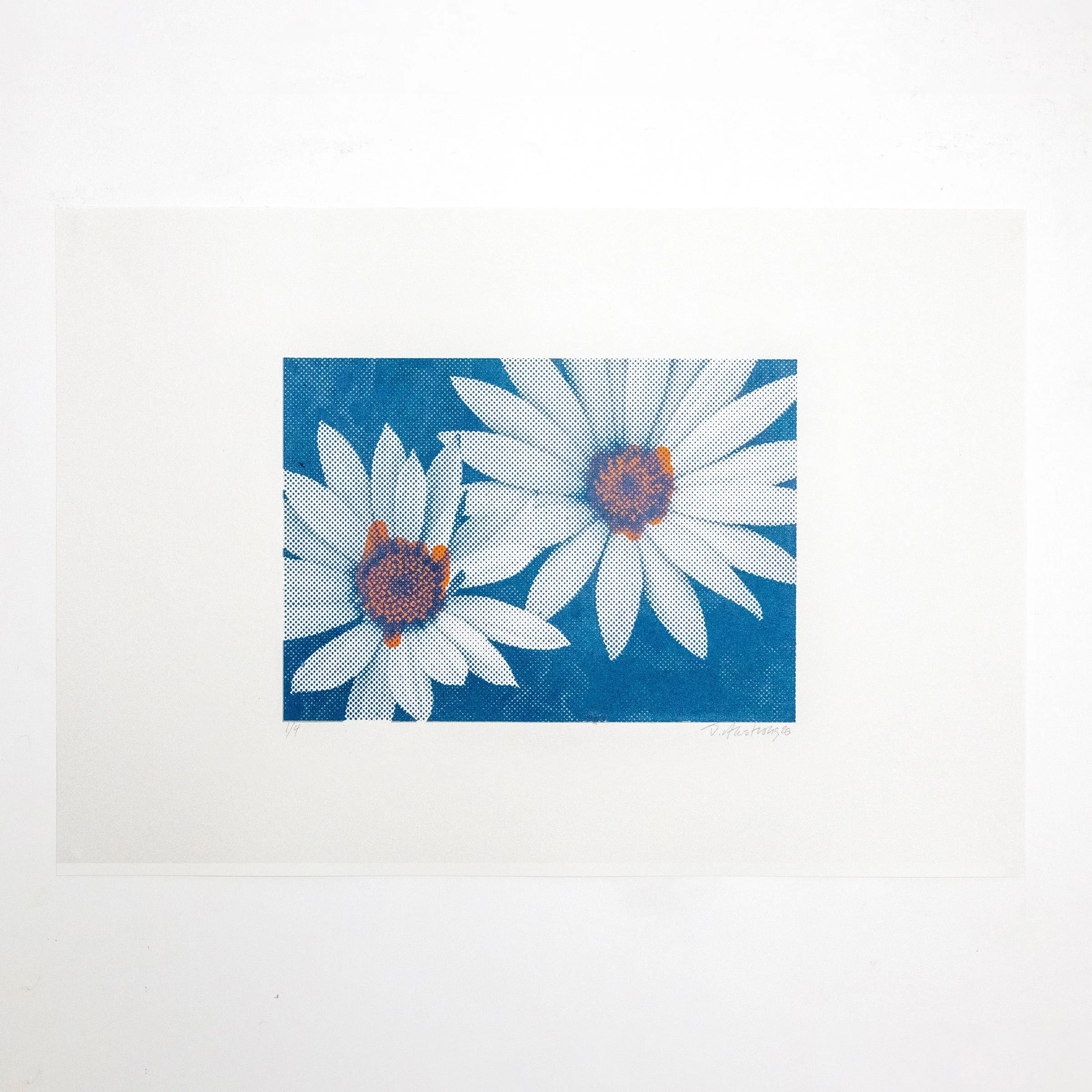Gry_Tur_Org_Dasies-square.jpg