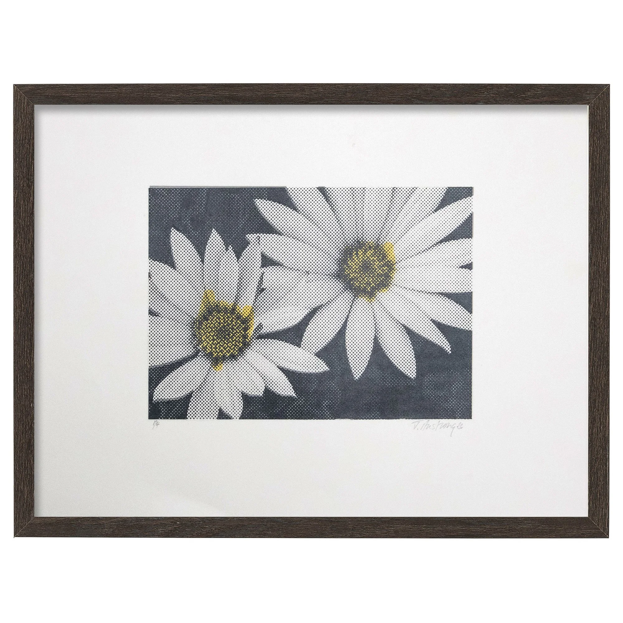 Gry_Gry_Gld_Dasies-frame.jpg