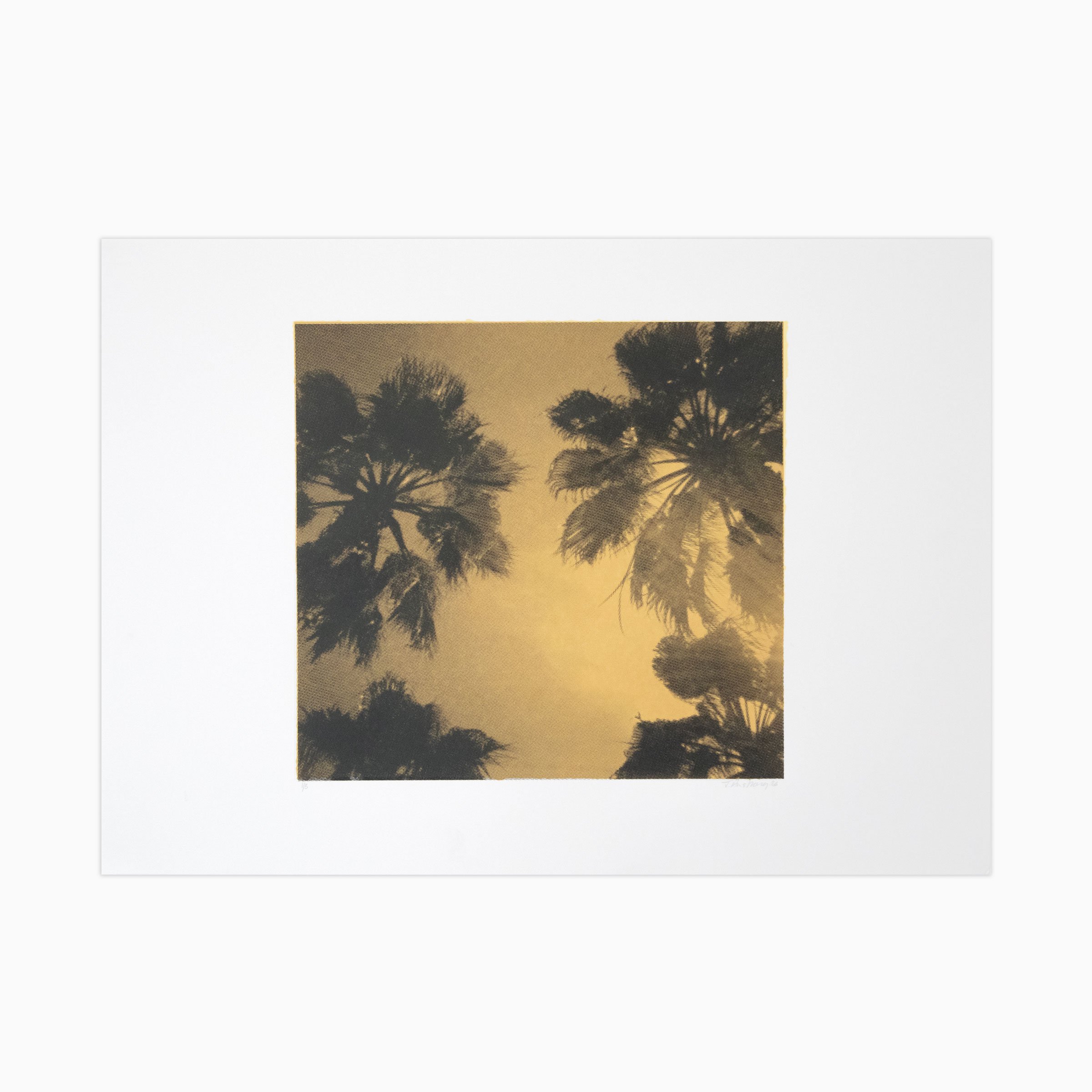 Blk_Gld_PalmTrees_3off_square.jpg