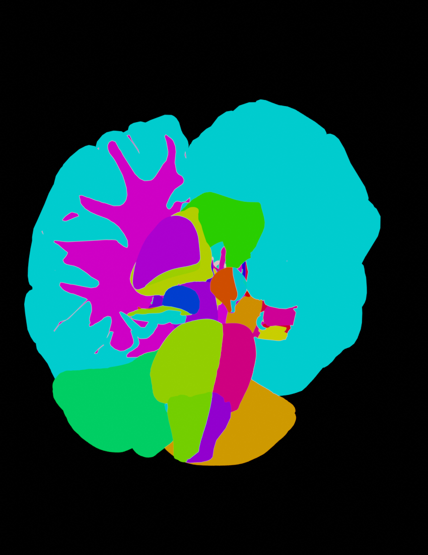 Amygdala Render Layers.png